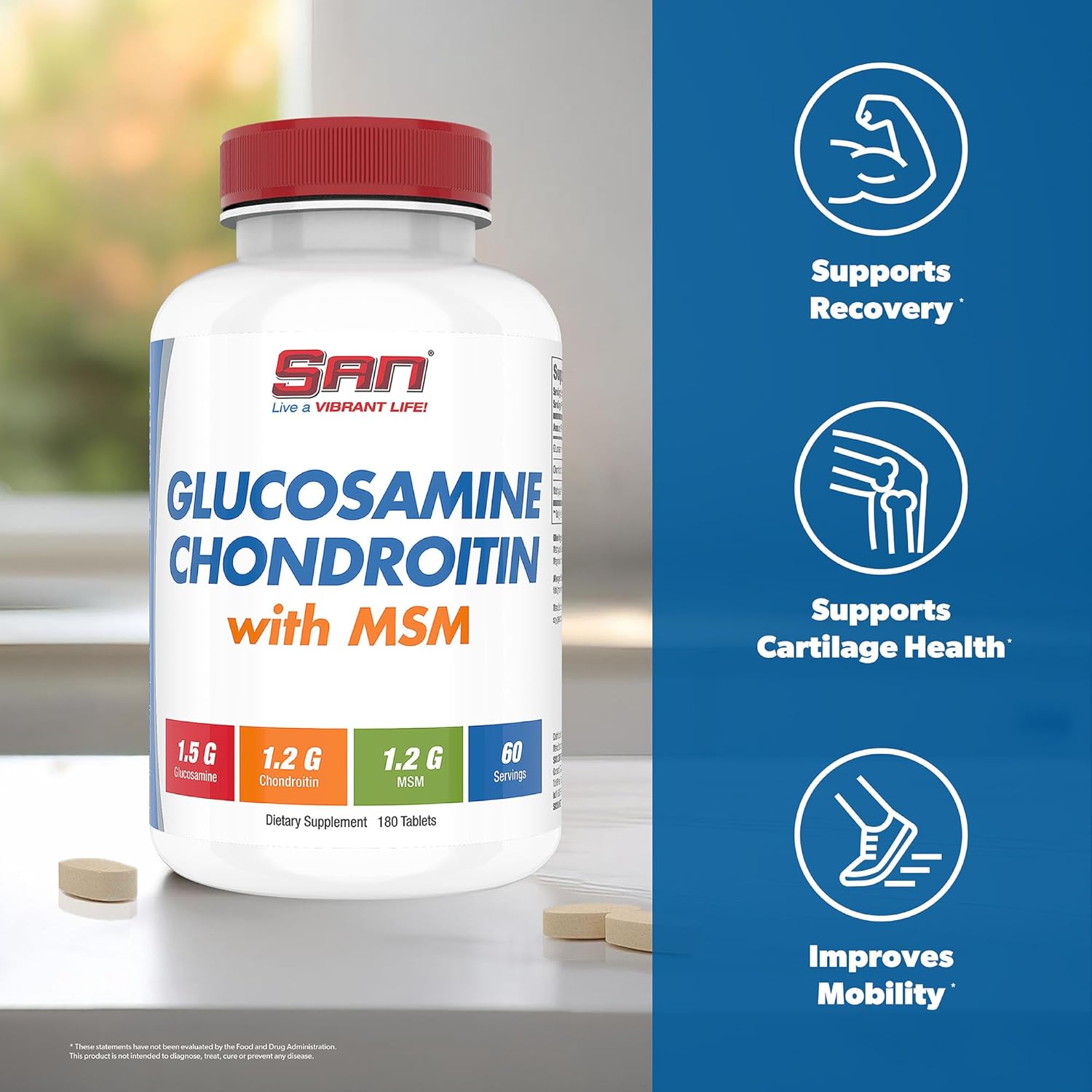SAN Nutrition Glucosamine Chondroitin with MSM Complex - Natural Joint Support Formula, 60 Servings