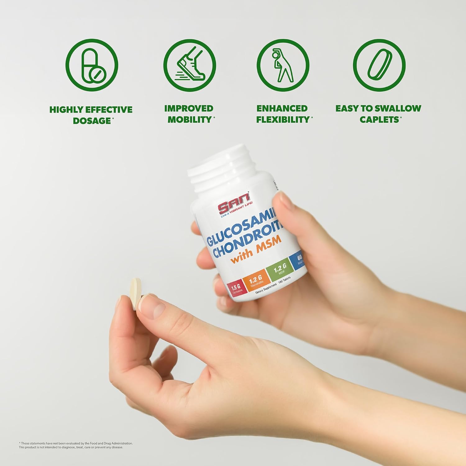 SAN Nutrition Glucosamine Chondroitin with MSM Complex - Natural Joint Support Formula, 60 Servings