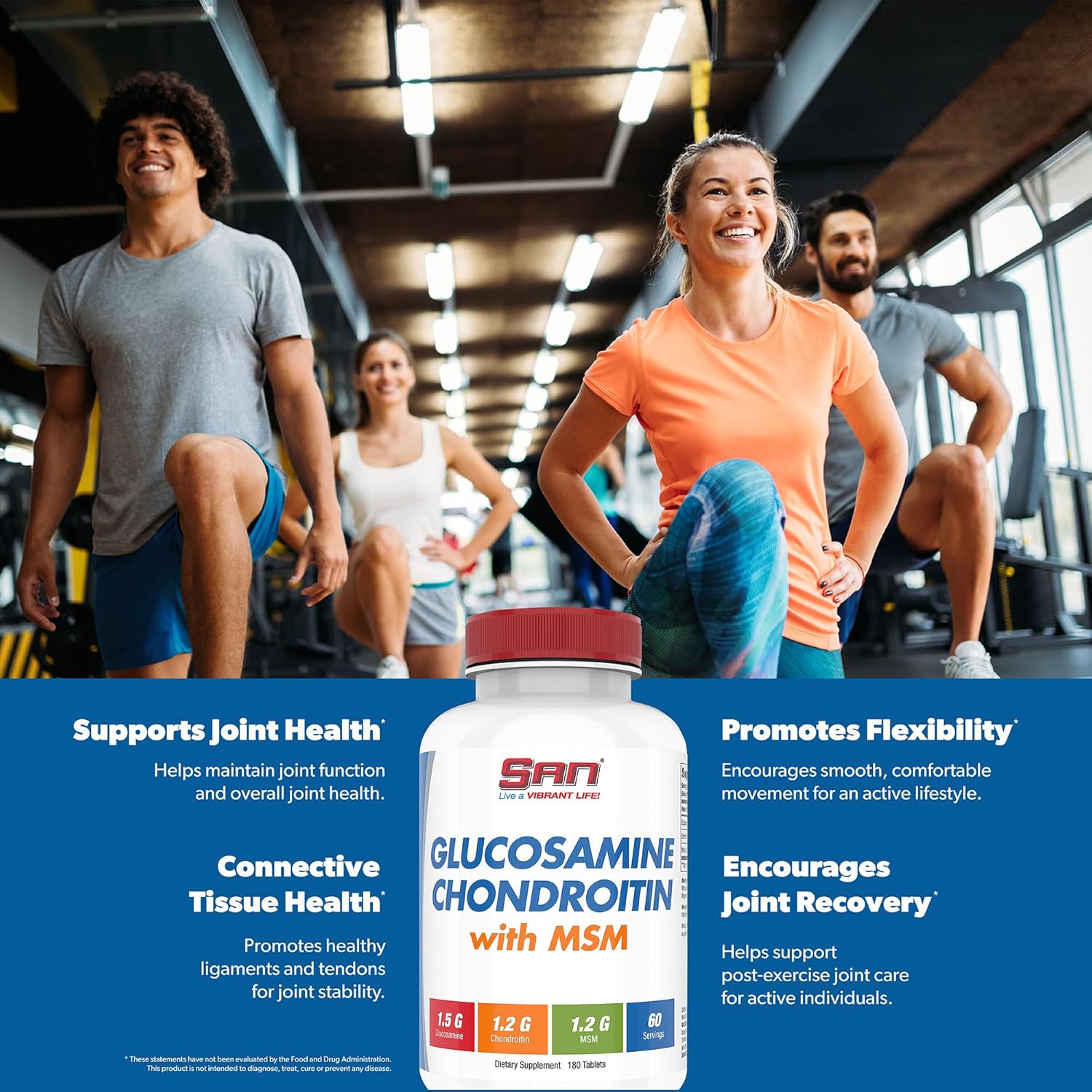 SAN Nutrition Glucosamine Chondroitin with MSM Complex - Natural Joint Support Formula, 60 Servings