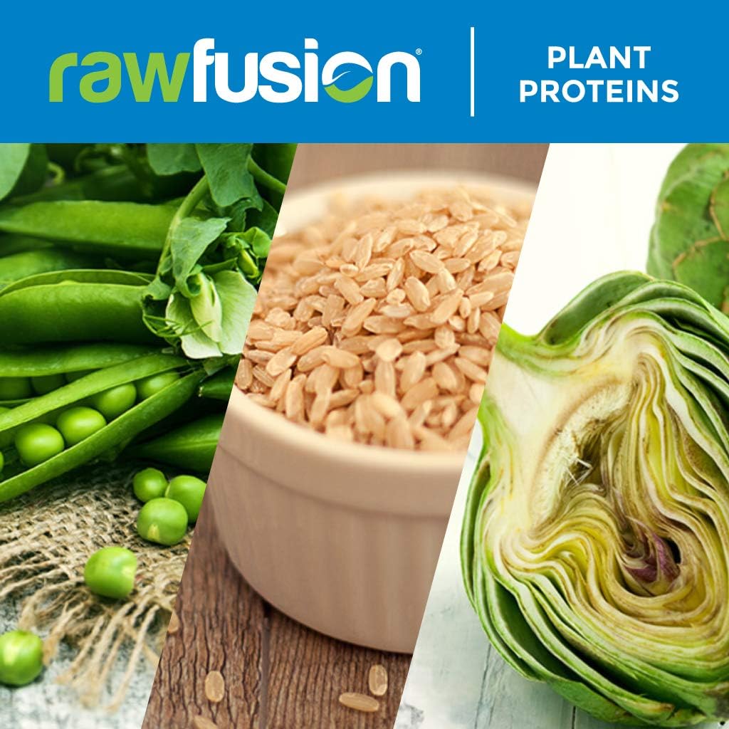 SAN Rawfusion Vanilla Bean Protein Powder - Plant-Based, 30 Servings, 21g Protein, Low Net Carbs, Non-Dairy, Gluten-Free, Soy-Free, Kosher, Non-GMO - 2.06lbs
