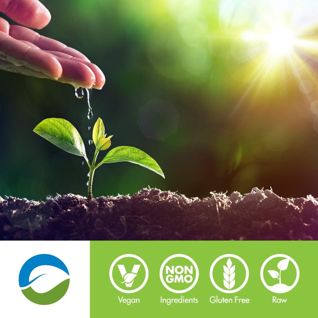 SAN Rawfusion Vegan Protein Powder, Natural Chocolate - 30 Servings, 21g Plant-Based Protein, Low Net Carbs, Non-Dairy, Gluten/Lactose Free, Soy Free, Kosher, Non-GMO - 2lbs