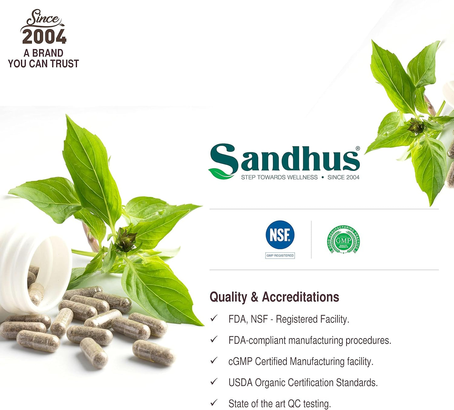 Sandhu's Guduchi Giloy Capsules - Vegan Immune Support Supplement with 1000mg per Serving