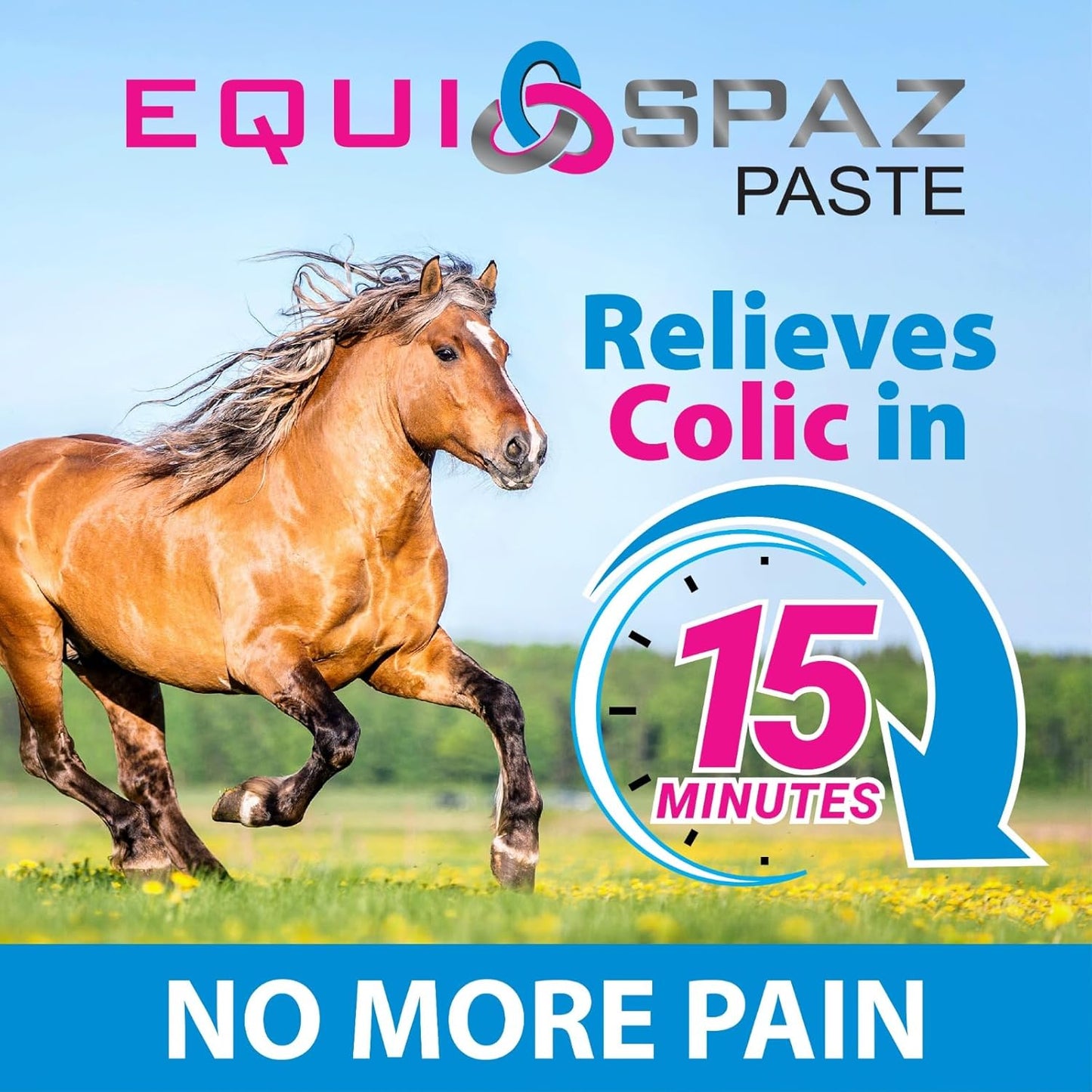 Saratoga Veterinary Product: Equi-Spaz Digestion Supplement for Horses - Fast Relief from Intestinal Gas and Colic (6 Pack)