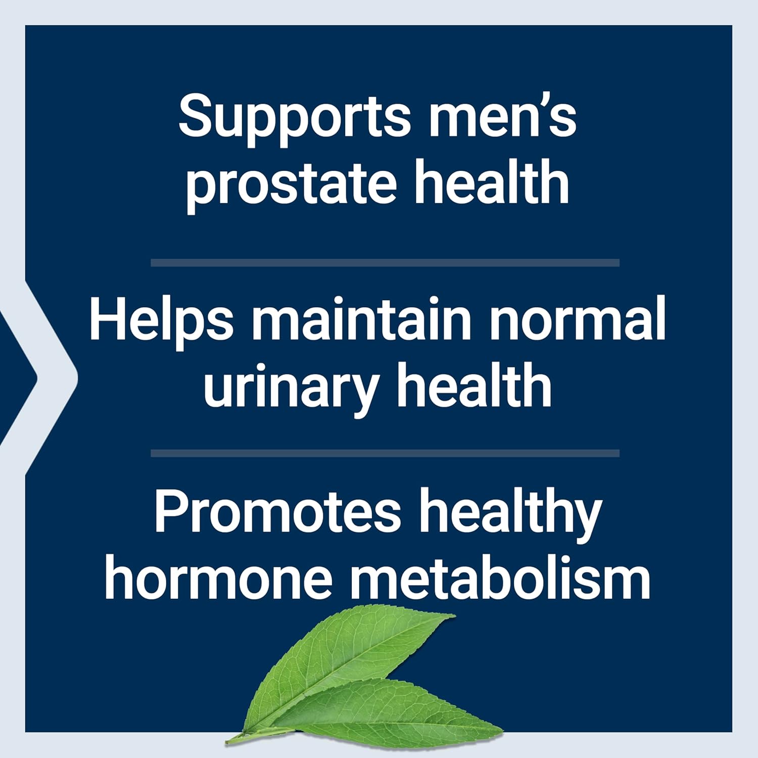 Saw Palmetto, Nettle Root & Beta-Sitosterol Softgels for Men, Supports Prostate & Hormone Health, 160mg Saw Palmetto, Gluten-Free, Non-GMO - 60ct