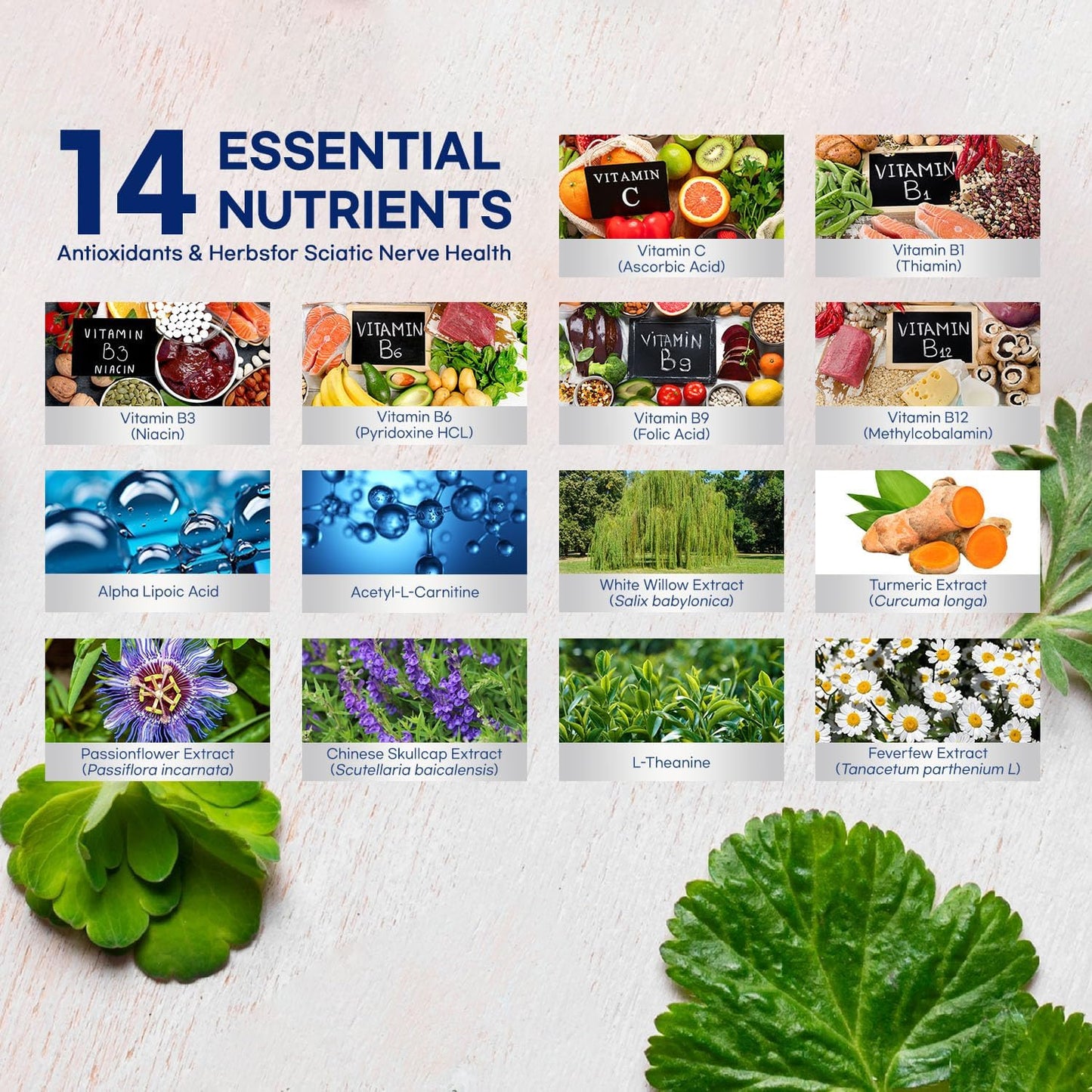 Sciatic Nerve Relief Supplement with Alpha Lipoic Acid & Vitamin Complex - 120 Capsules, Made in USA