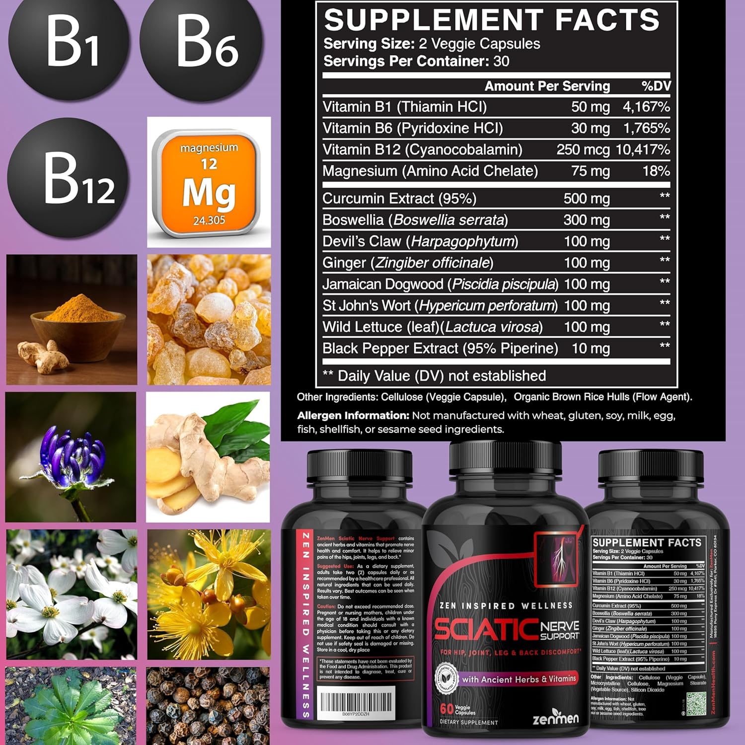 Sciatic Nerve Support Capsules - Natural Herbs & Vitamins for Lower Back, Joint, & Leg Relief - 60 Vegan Capsules, Made in USA