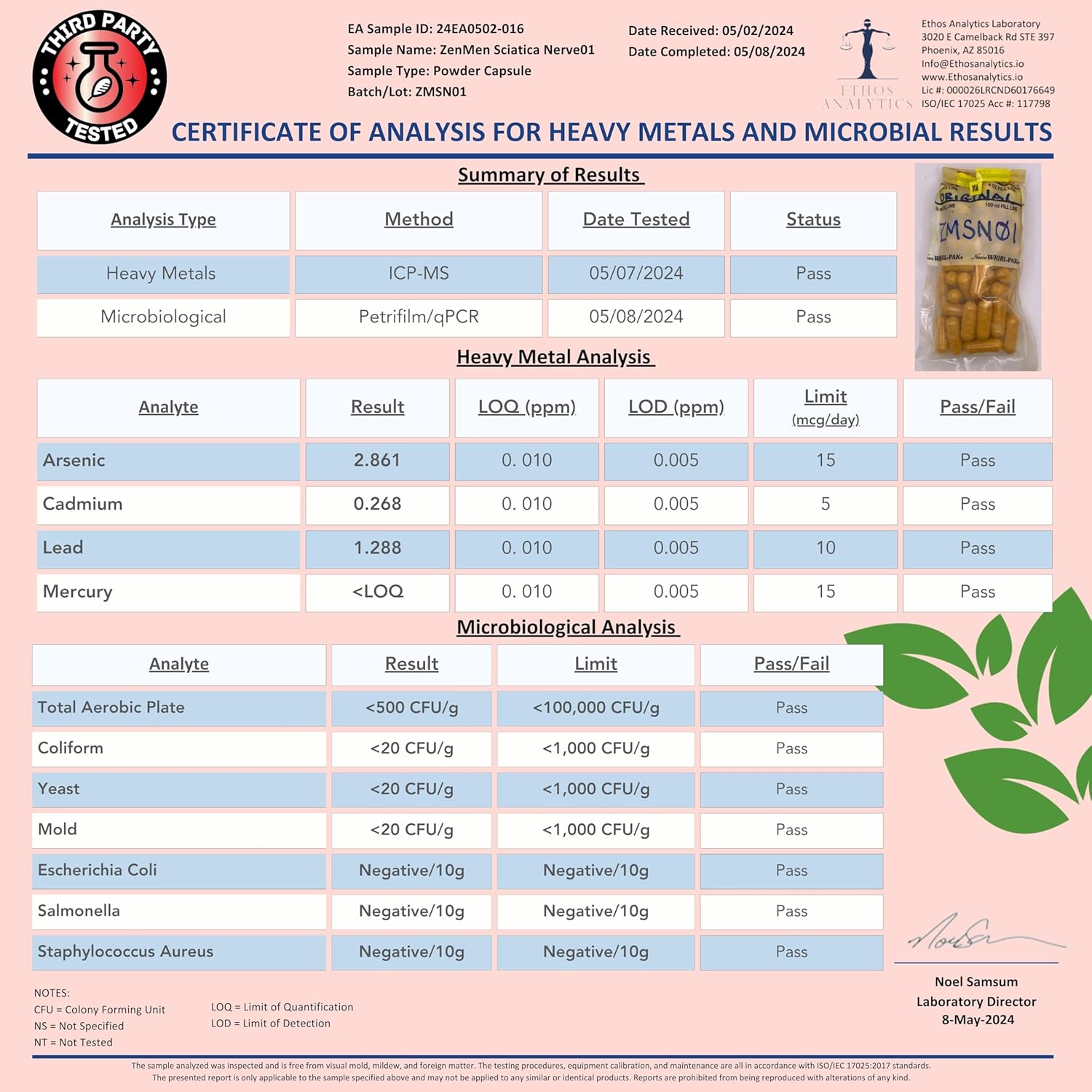 Sciatic Nerve Support Capsules - Natural Herbs & Vitamins for Lower Back, Joint, & Leg Relief - 60 Vegan Capsules, Made in USA