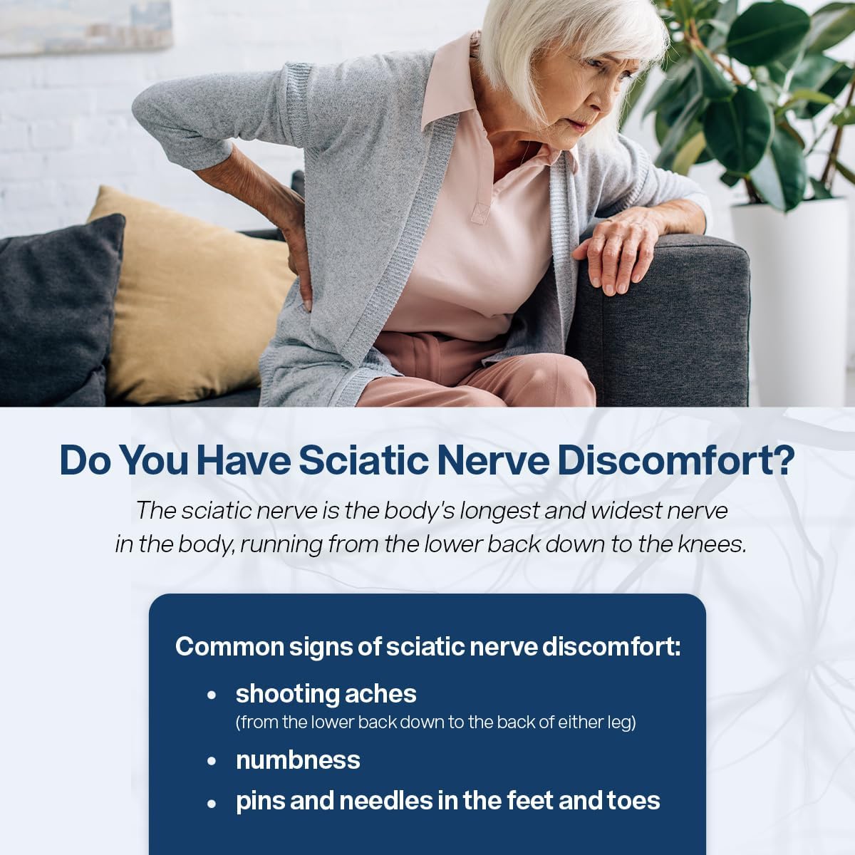 SciatiEase Sciatic Nerve Health Support Supplement - Nerve Support Formula with AlphaPalm, Pea, Vitamin B Complex, Alpha Lipoic Acid - 120 Capsules