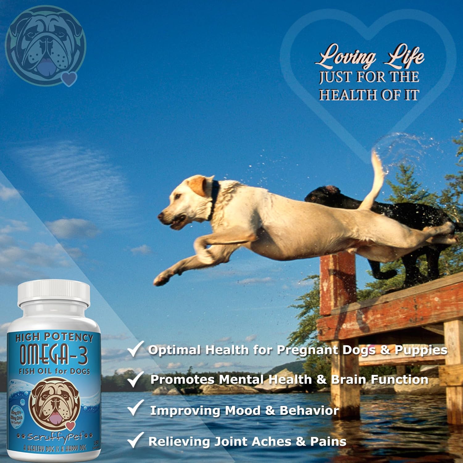 ScruffyPet Omega-3 Fish Oil Softgels for Dogs with Vitamin E - Highest EPA & DHA Content, 1000mg, 180ct