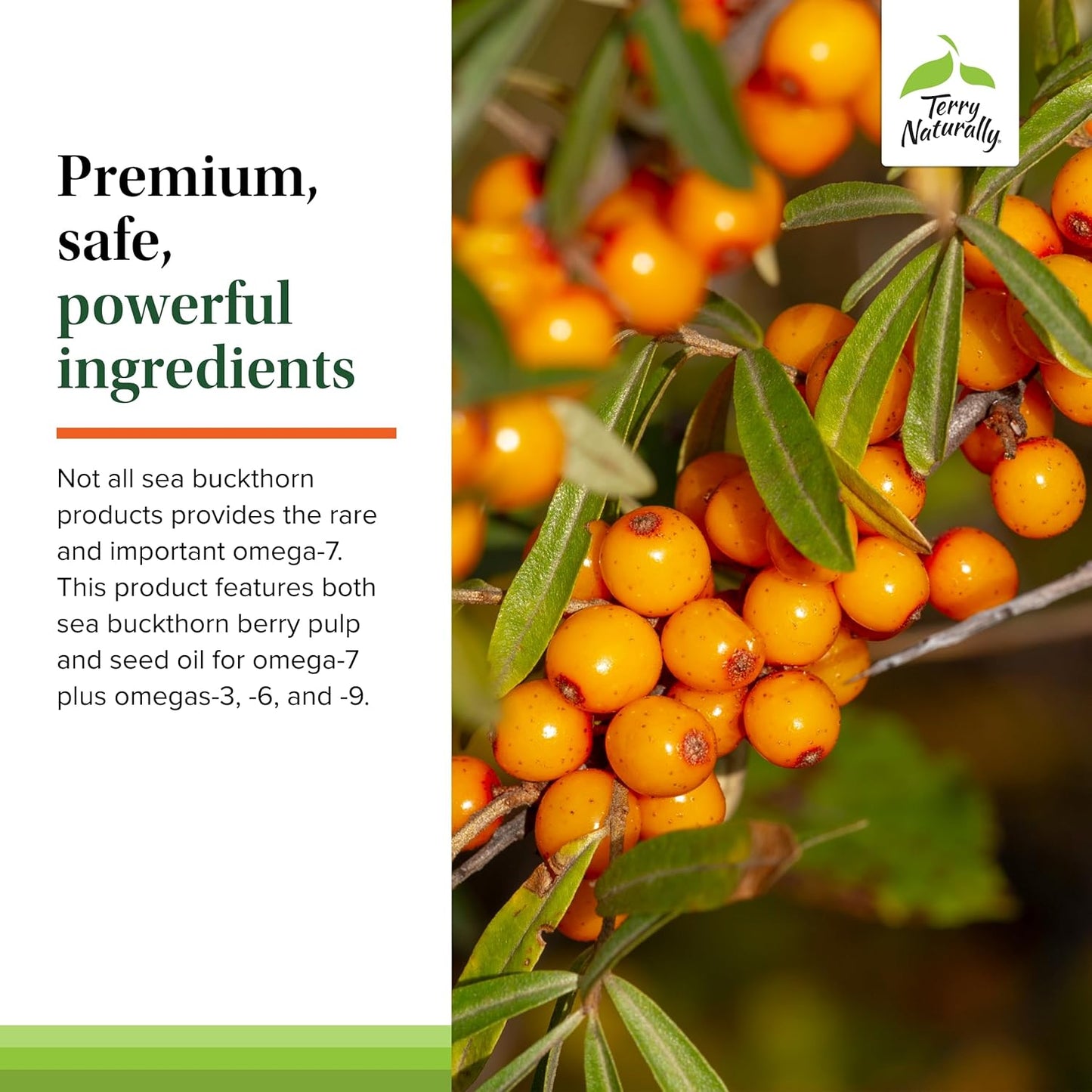 Sea Buckthorn Supplement with Omega-7 for Skin Moisturization - 60 Softgels, Non-GMO & Gluten Free - 60 Servings