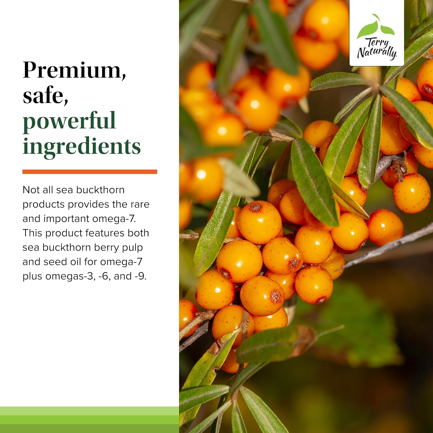 Sea Buckthorn Supplement with Omega-7 for Skin Moisturization - 60 Softgels, Non-GMO & Gluten Free - 60 Servings