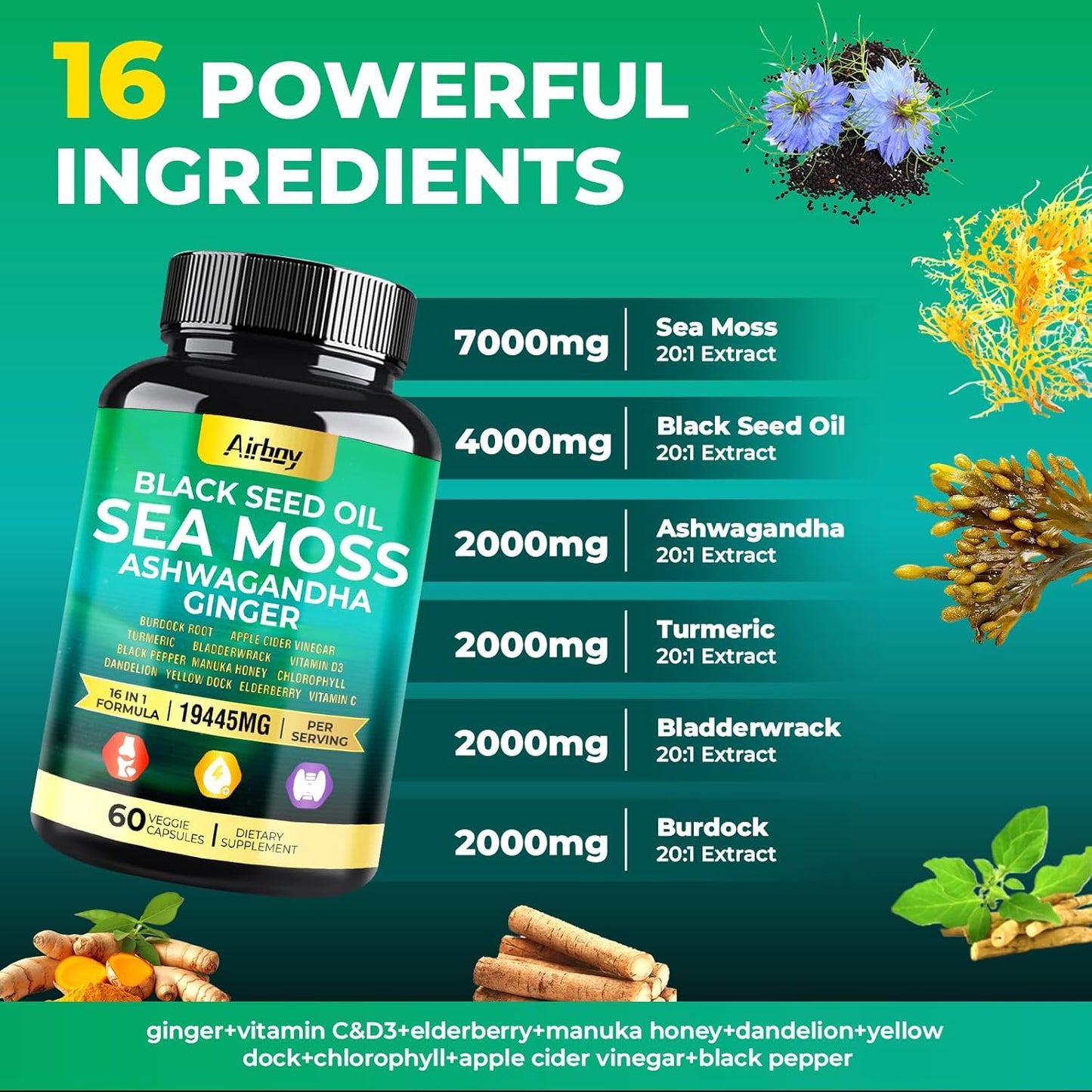 Sea Moss Capsules with Black Seed Oil, Ashwagandha, Turmeric, Bladderwrack, Burdock, Ginger, Vitamin C, D3, Elderberry, Manuka, Dandelion, Yellow Dock, Chlorophyll - Men & Women