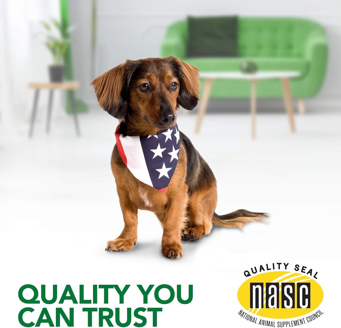 Seasonal Allergy Soft Chew Dog Supplements | Relieves Skin Irritation | Supports Histamine Levels | 90 Day Supply
