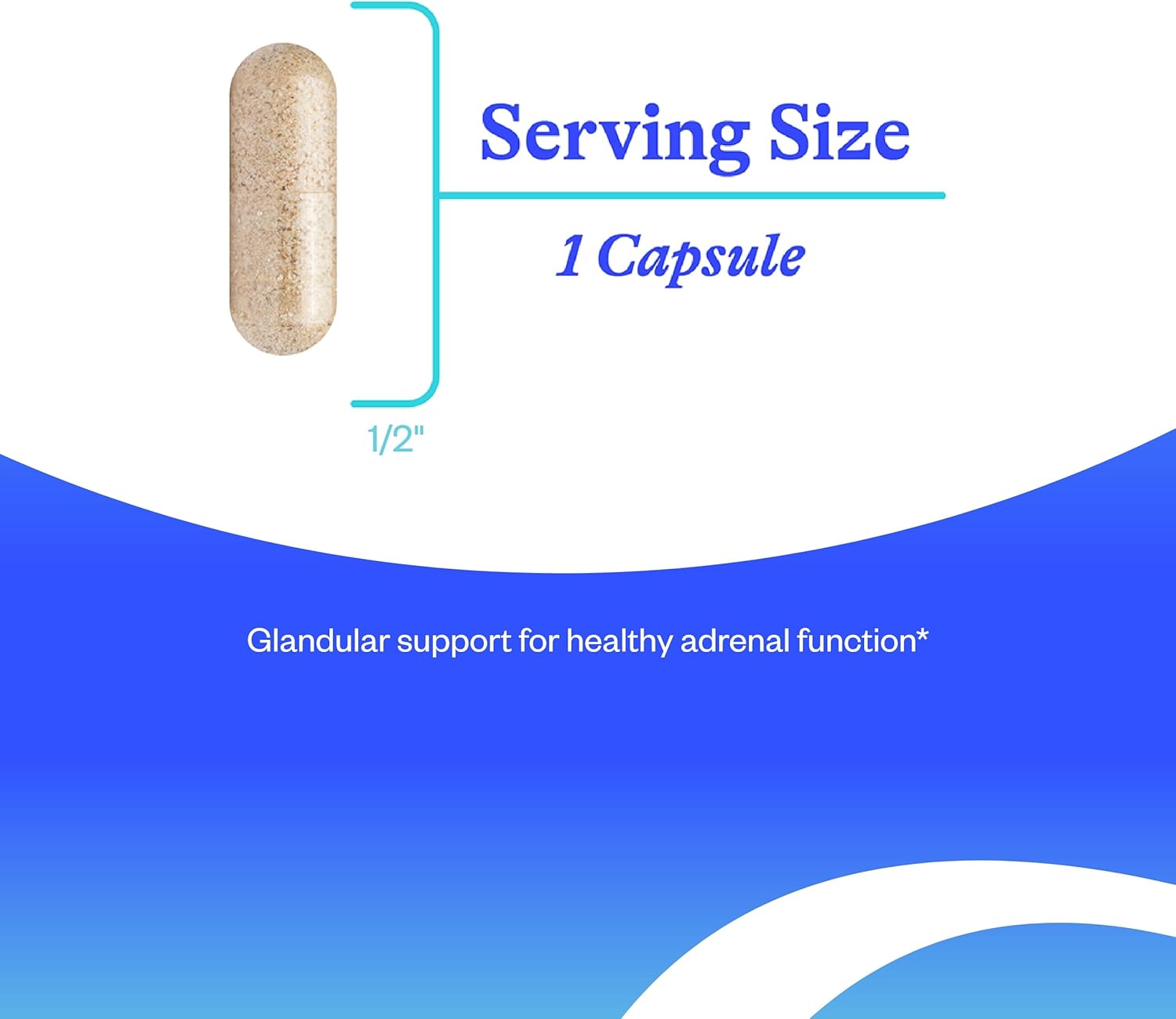 Seeking Health Adrenal Cortex Capsules - Supports Healthy Nervous System & Energy - Gluten-Free & Dairy-Free - 50 mg, 60 Count