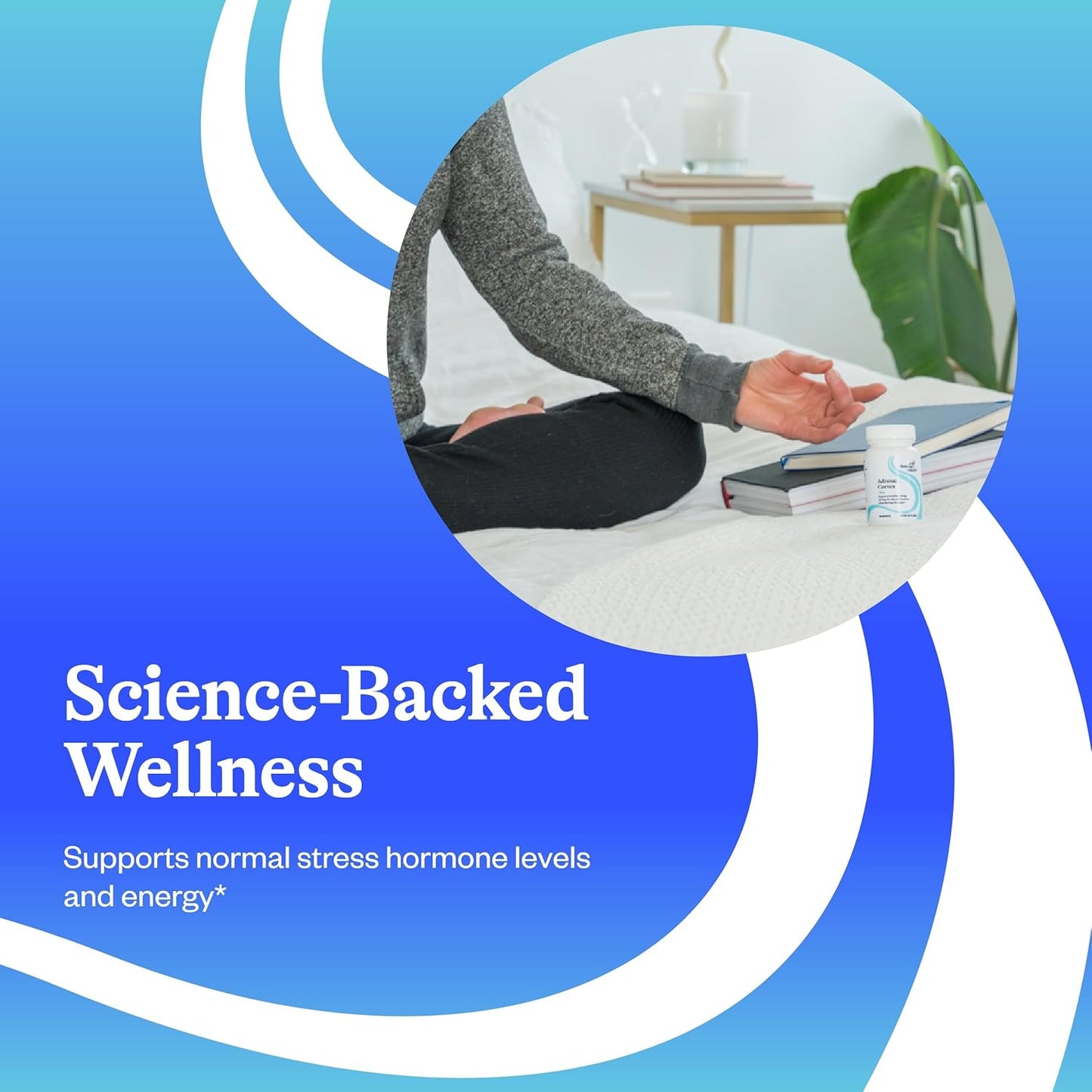 Seeking Health Adrenal Cortex Capsules - Supports Healthy Nervous System & Energy - Gluten-Free & Dairy-Free - 50 mg, 60 Count