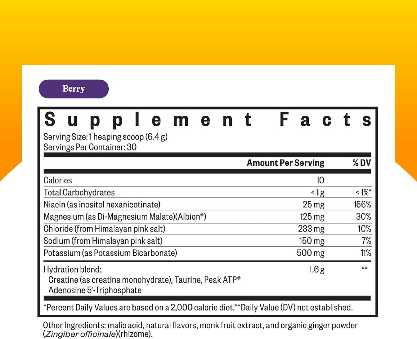 Seeking Health Optimal Electrolyte Powder - Berry Flavor - Energy & Endurance Support - Hydration & Muscle Health - Vegan/Vegetarian - 30 Servings