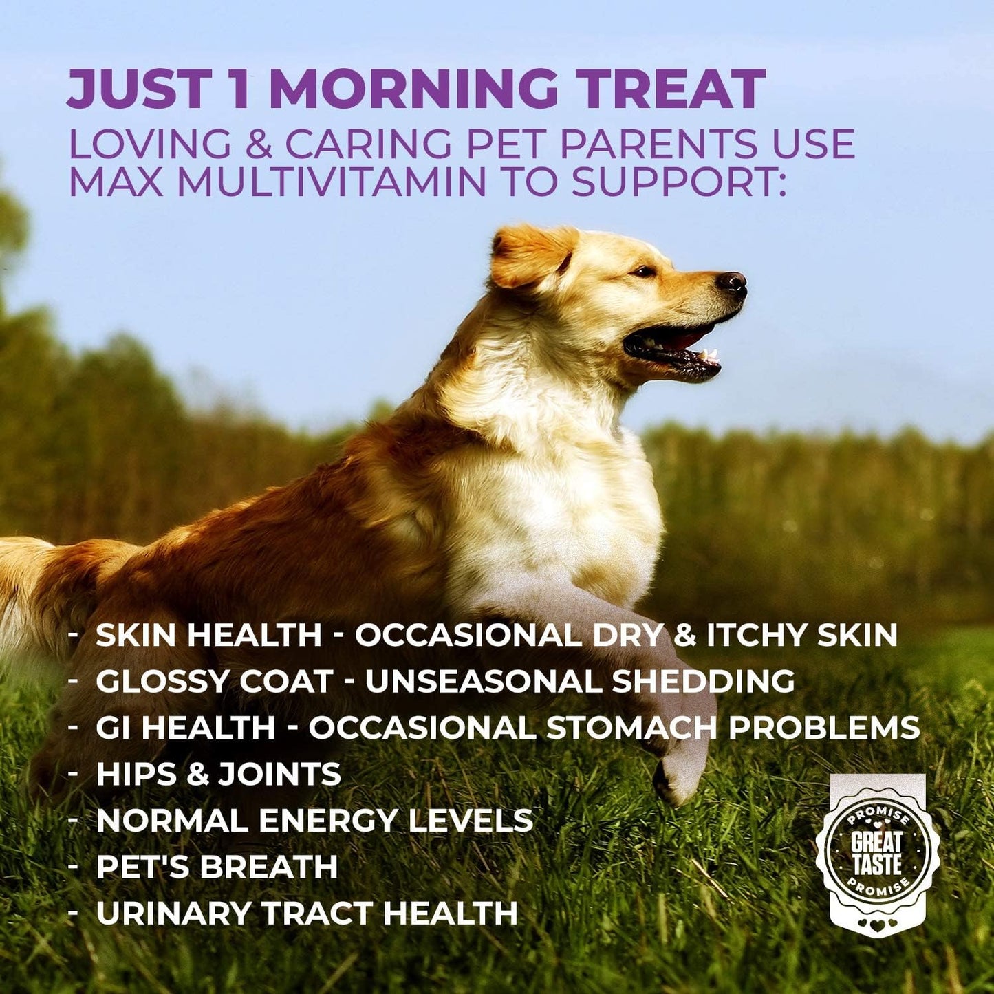 Senior & Adult Dog Multivitamin - 10 in 1 Complete Support for Joints, Immunity, Mobility, Energy, Skin Health - Daily Chewable Supplement for Dogs