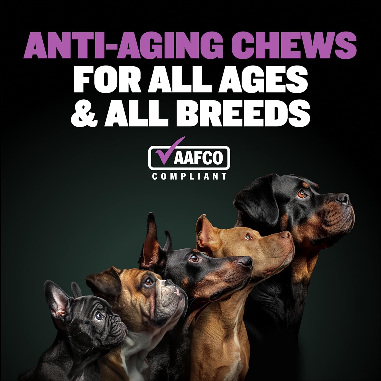 Senior Dog Anti-Aging Multivitamin Chews with Postbiotics - 2-in-1 Supplement for Vitality, Immunity, and Joint Support - Small & Large Breed Adult Dog Vitamins - 75 Soft Chews