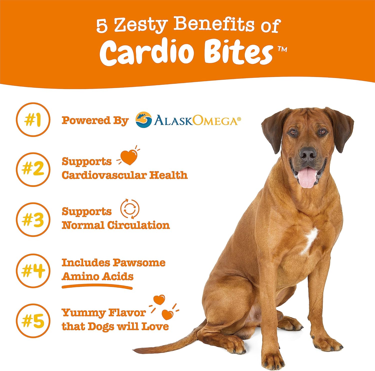 Senior Dog Heart Health Supplement with Taurine, CoQ10, L Carnitine, Sea Buckthorn, and AlaskOmega Fish Oil Omega 3 - 90 Count