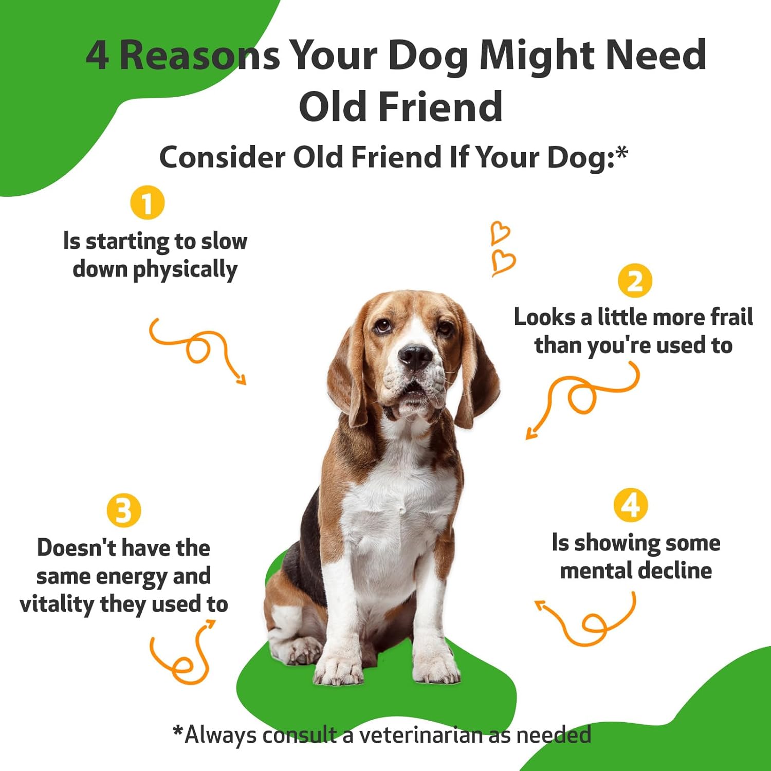 Senior Dog Herbal Supplement for Immune System & Joint Health - Alfalfa & Reishi, 2 oz