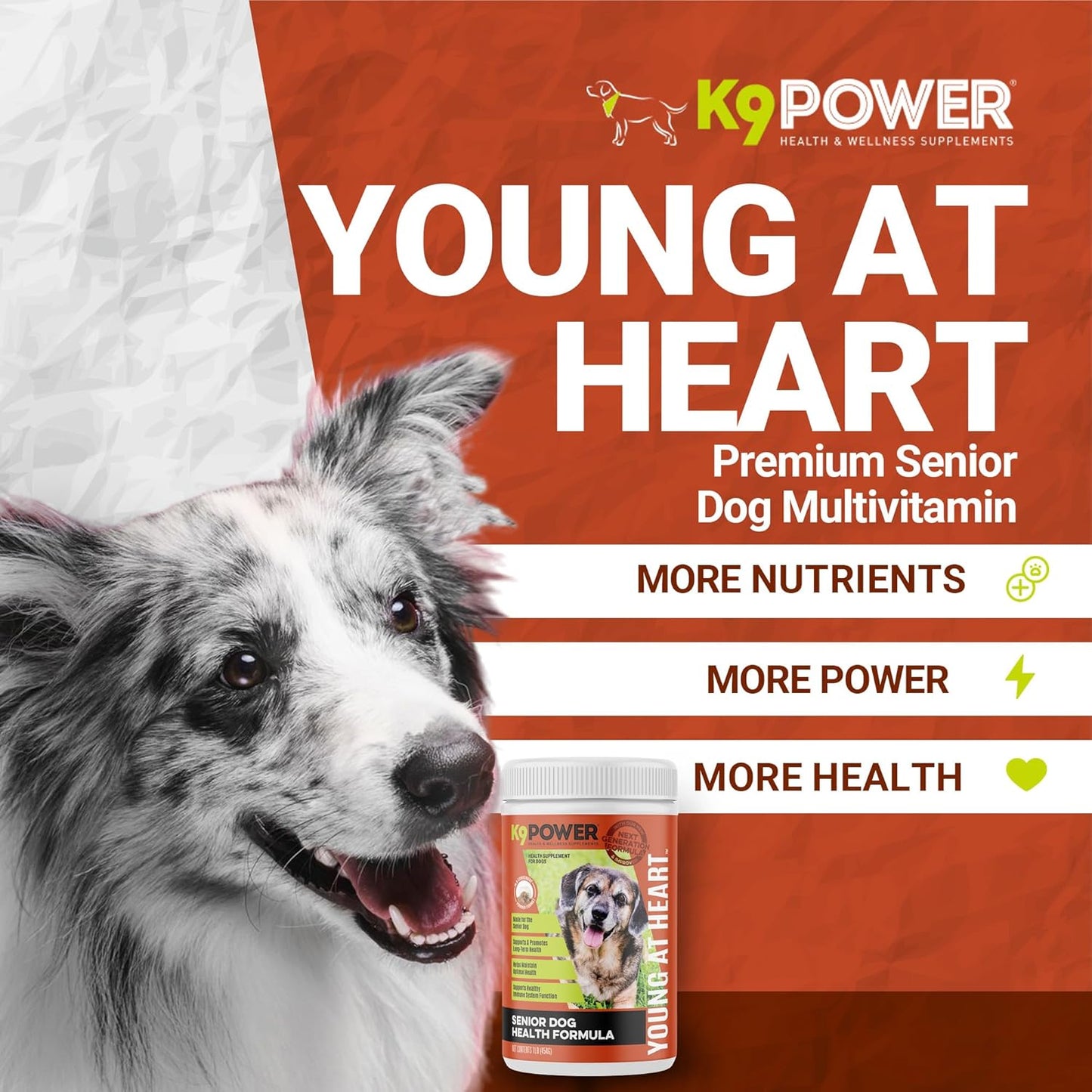 Senior Dog Multivitamin 1 lb - Advanced Supplement for Brain, Heart, Vision, Joint Health, and Mobility - K9 Power Young at Heart