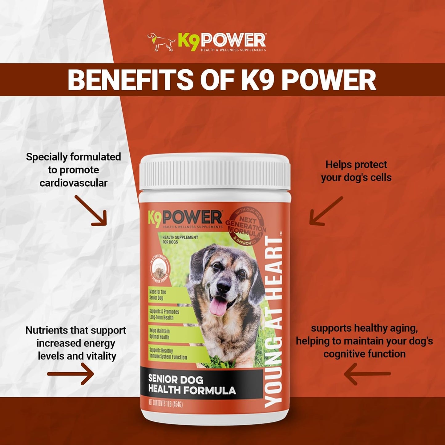 Senior Dog Multivitamin 1 lb - Advanced Supplement for Brain, Heart, Vision, Joint Health, and Mobility - K9 Power Young at Heart