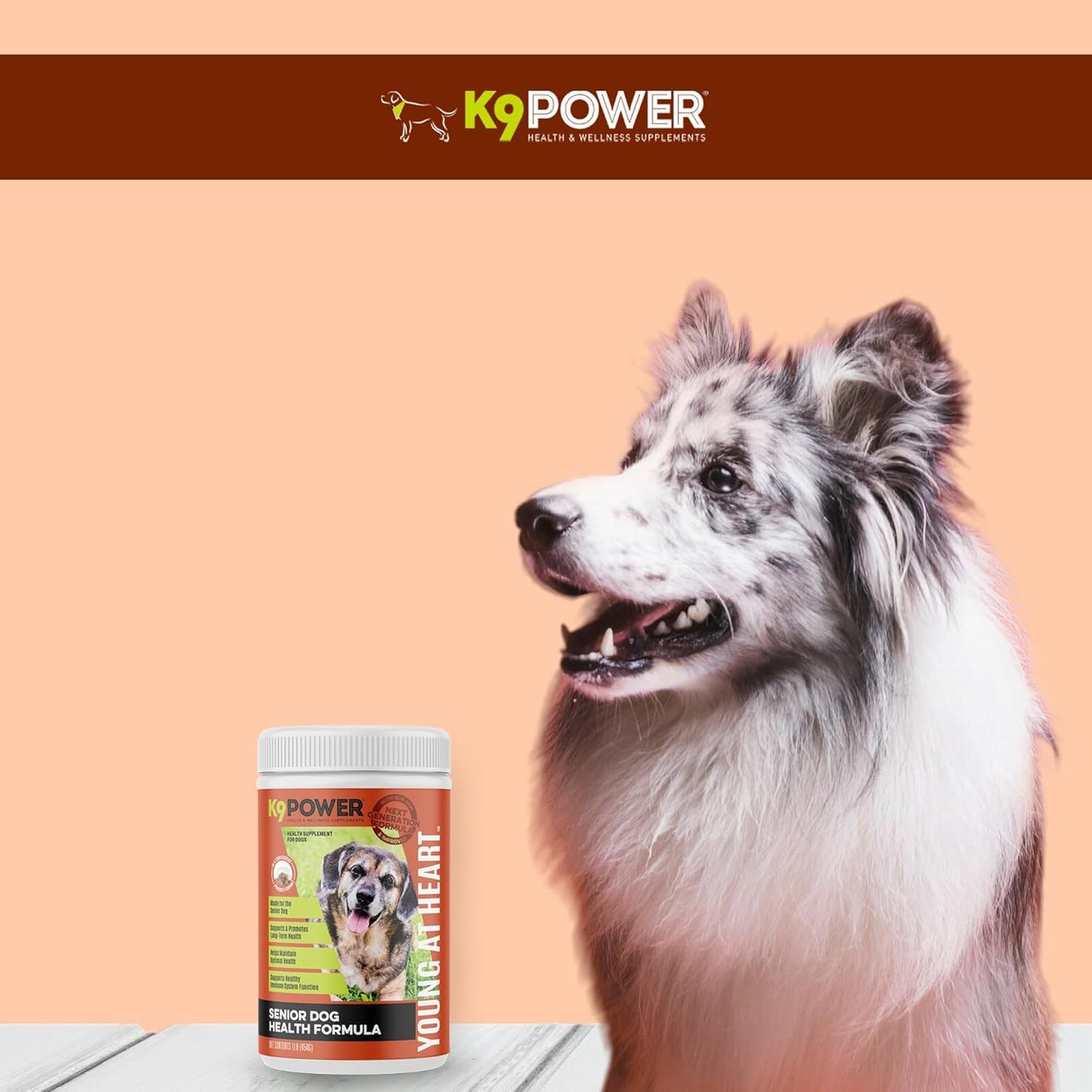 Senior Dog Multivitamin 1 lb - Advanced Supplement for Brain, Heart, Vision, Joint Health, and Mobility - K9 Power Young at Heart