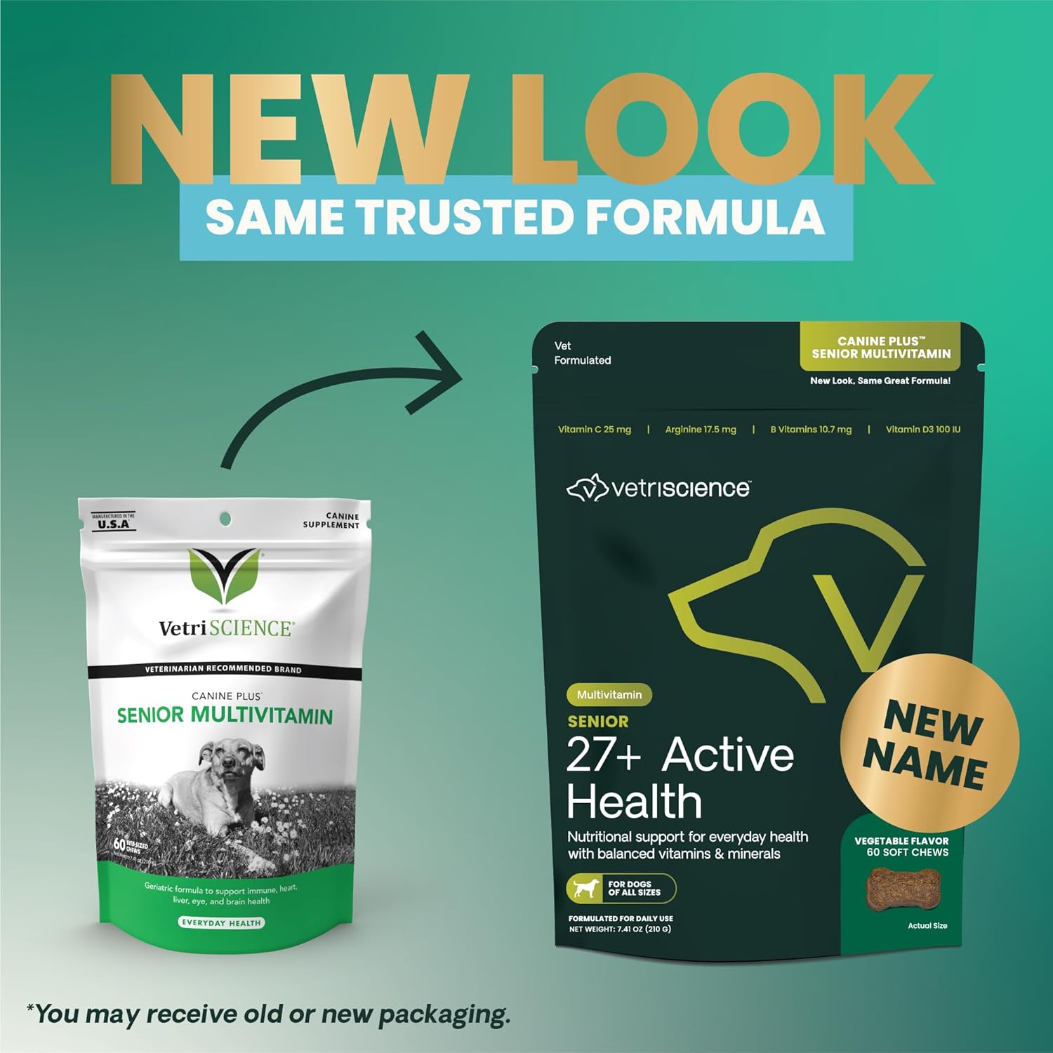 Senior Dog Multivitamin Chews with Vitamins, Minerals & Antioxidants - Veggie Wellness Support - 60 Count