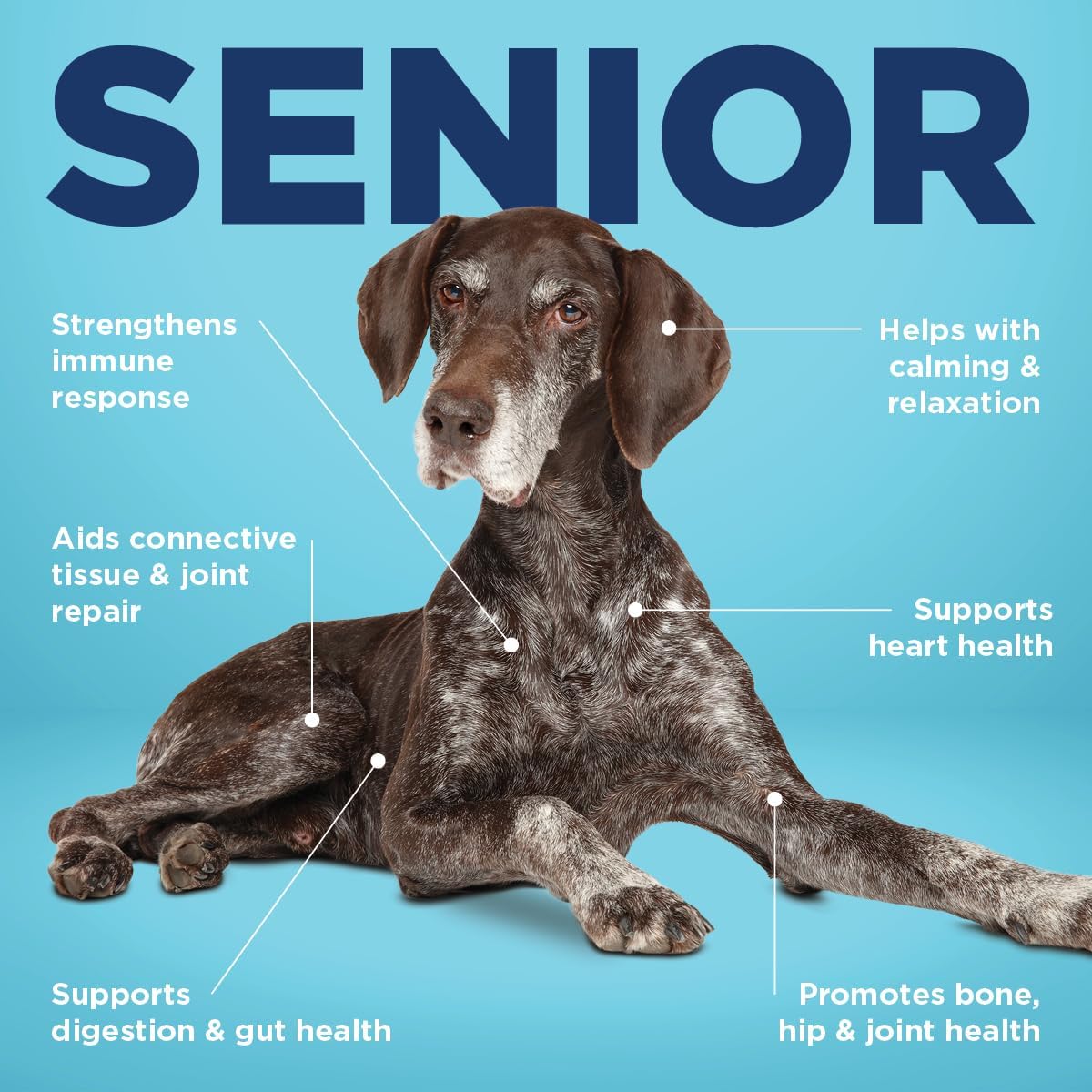 Senior Dog Supplement with Digestive Enzymes, Glucosamine, Chondroitin, Vitamins, Antioxidants, Prebiotics, Probiotics, and Omegas - 90 Count