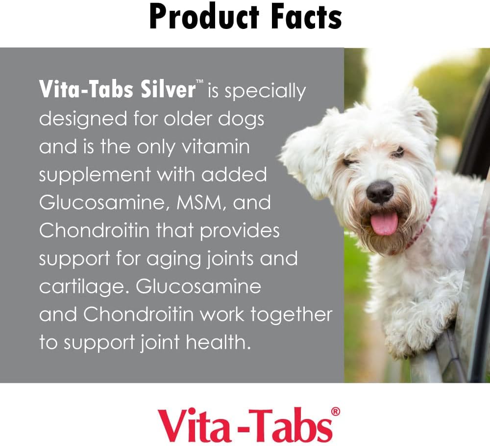 Senior Dog Supplement with Vitamins, Minerals, Nutrients - Support for Bone, Joint, Energy, and Immune System - 100 Chewable Tablets