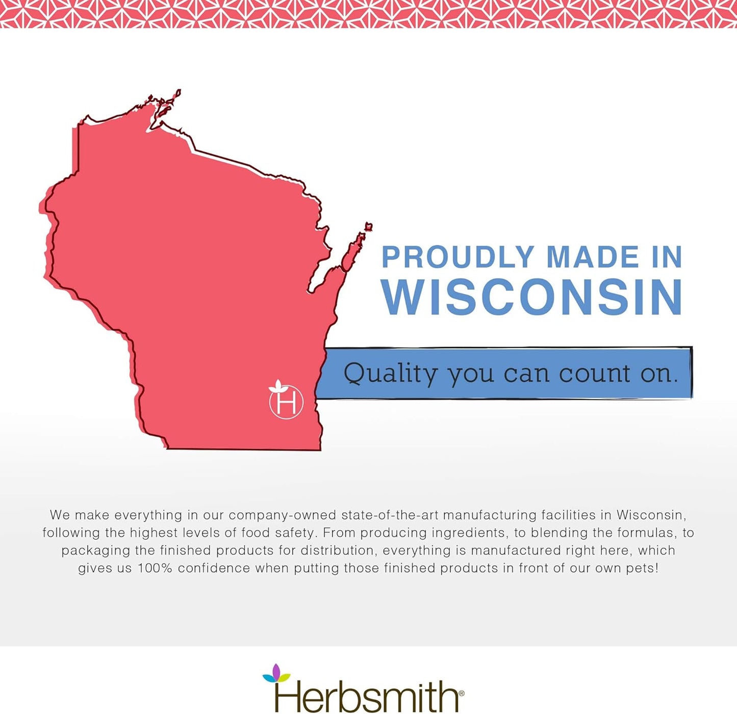 Senior Dog Wisdom Supplement with DHA for Dog Dementia & Brain Health - 75g