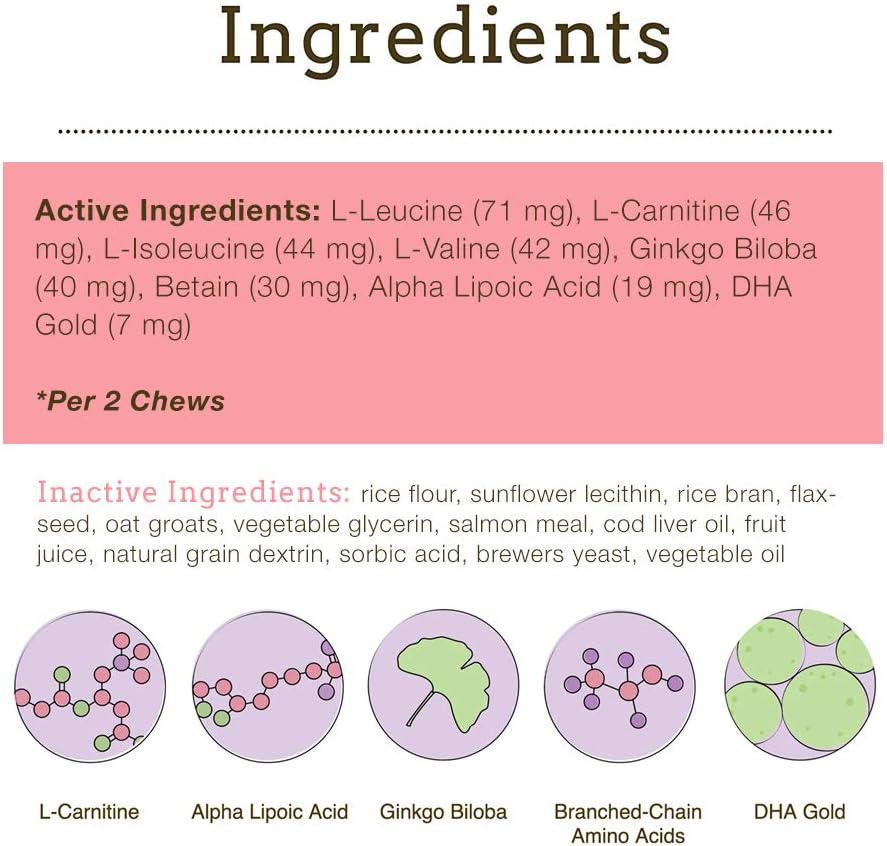 Senior Dog Wisdom Supplement with DHA for Dog Dementia & Brain Health - 75g