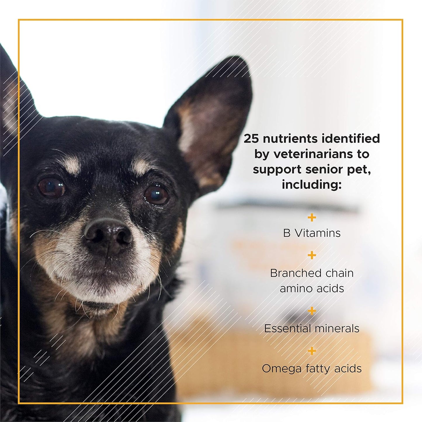 Senior Dogs Daily Multivitamin with BCAAs for Energy and Vitality, Chicken Flavor, 60 Chews by VetriScience