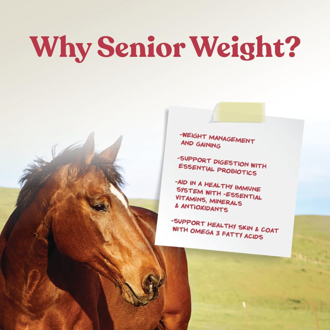 Senior Horse Weight Gain Supplement with Omega 3 Fatty Acids from Flaxseed - 8 Pounds