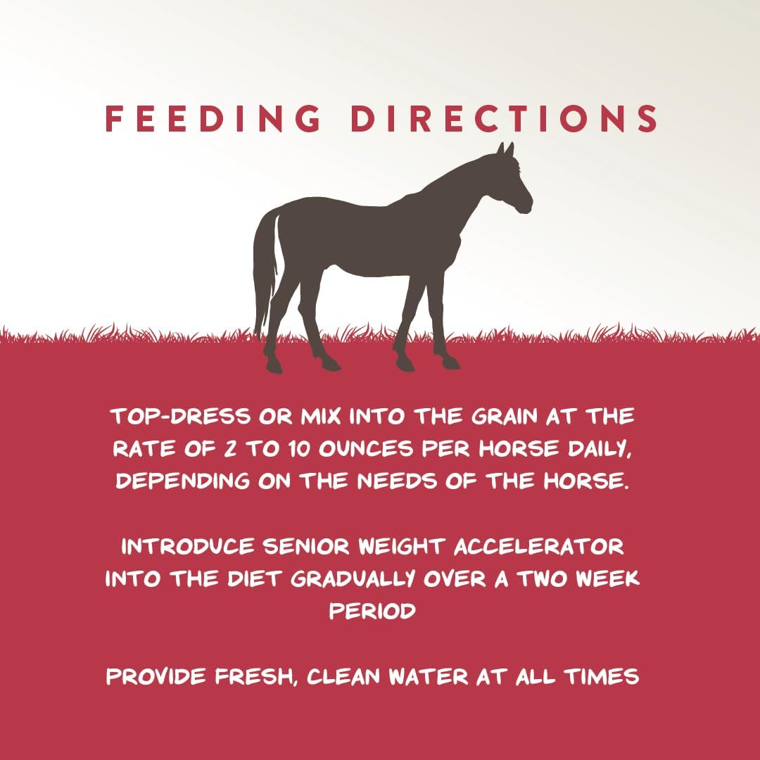 Senior Horse Weight Gain Supplement with Omega 3 Fatty Acids from Flaxseed - 8 Pounds