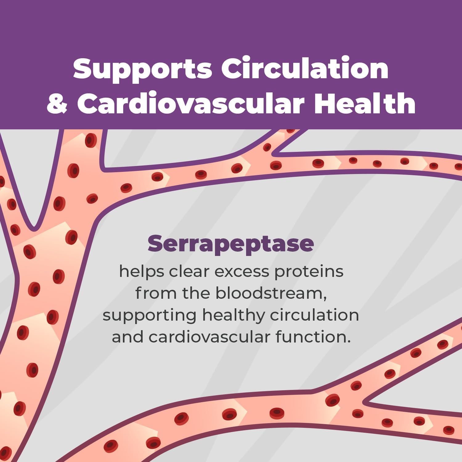SerraDefend Biofilm Disruptor Capsules with Enzymes for Men & Women - 60 Capsules, 2 Month Supply