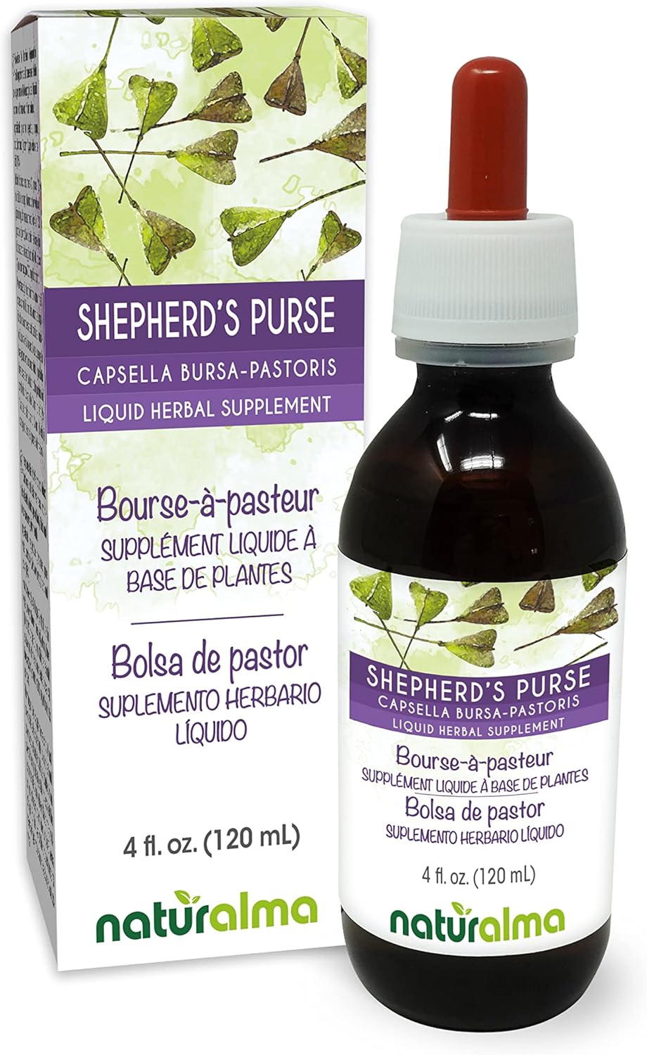 Shepherd's Purse Herbal Supplement - 4 fl oz Alcohol-Free Tincture - Capsella Bursa-pastoris Liquid Extract - Vegan Herbal Drops