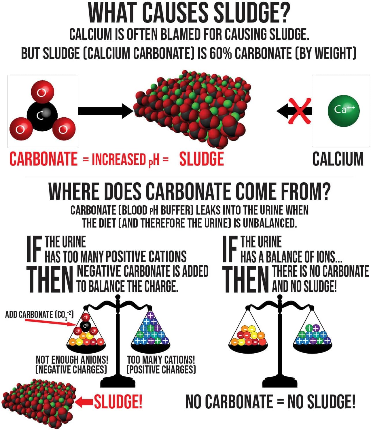 Sherwood Pet Health Urinary Support Tablets - 100 Count - 60g