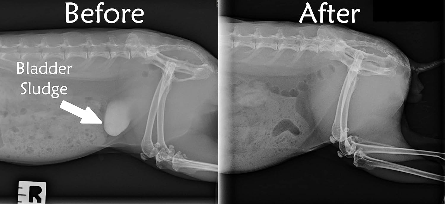 Sherwood Pet Health Urinary Support Tablets - 100 Count - 60g