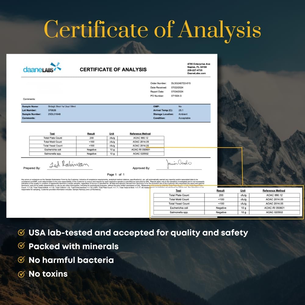 Shilajit Energy Shots with 400mg Pure Shilajit & 3,000mg Fulvic Minerals for Enhanced Focus and Immune Support - Men & Women - Drinkable Formula