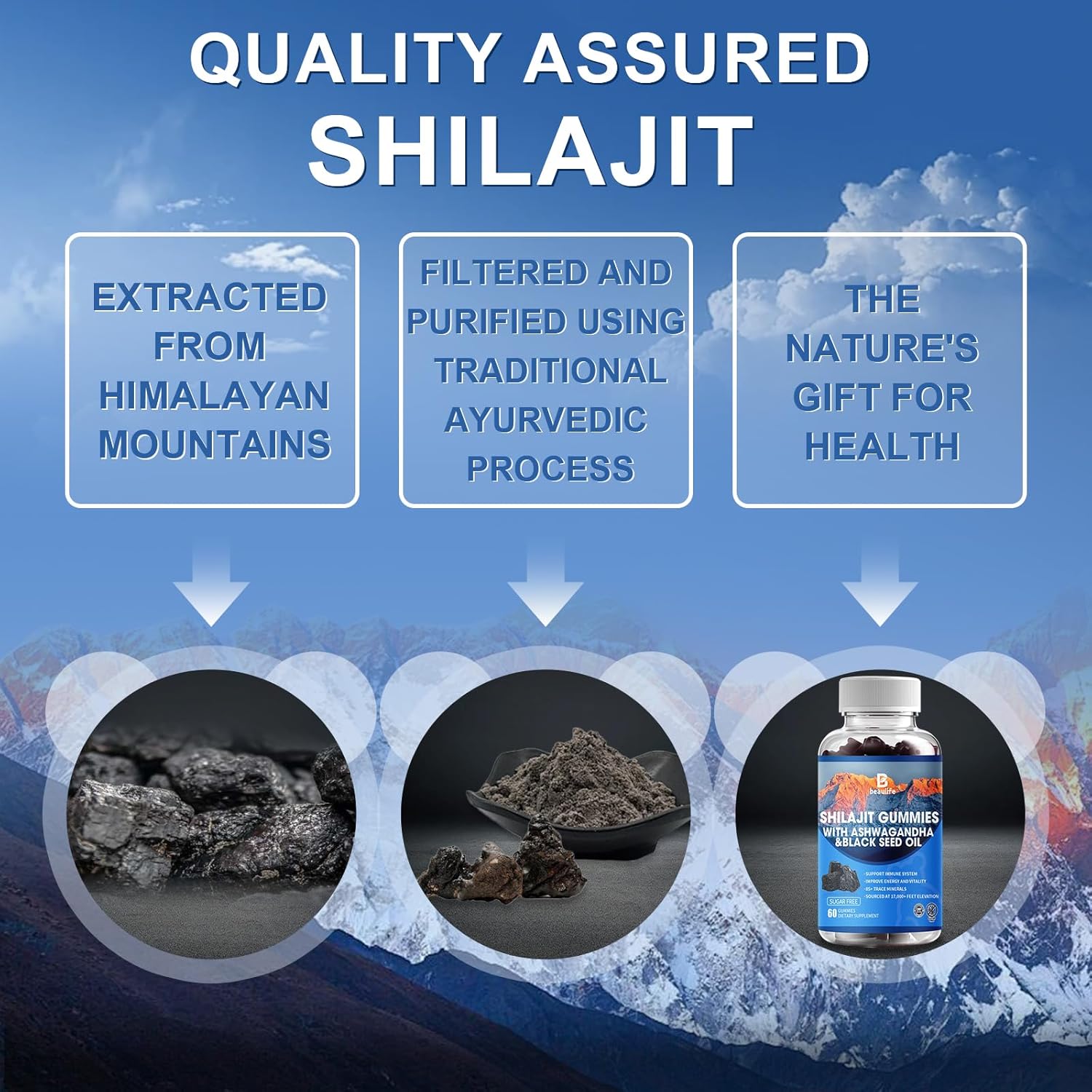 Shilajit Gummies with 85+ Trace Minerals, Fulvic Acid, Phytonutrients, Vitamins, Ashwagandha, Chaga Mushroom, and Turmeric for Energy Boost and Immune Support