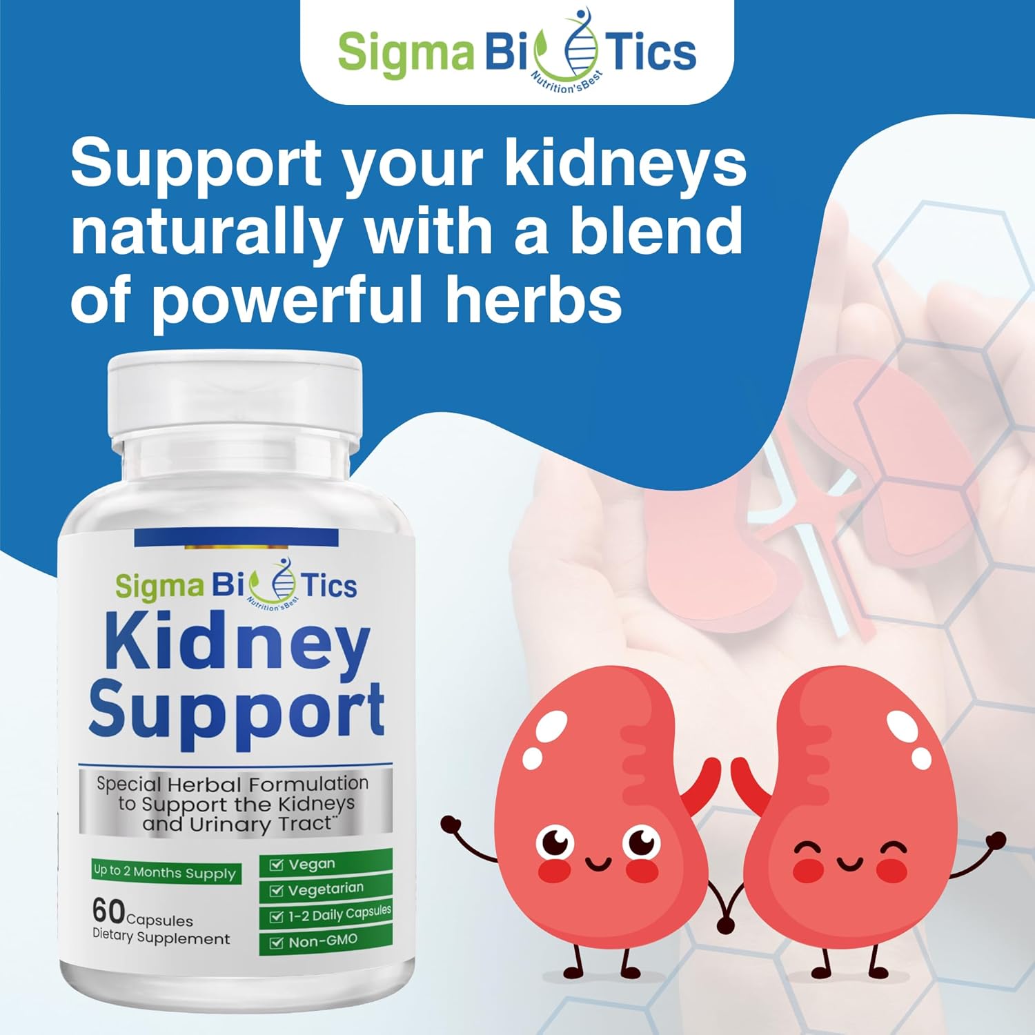 SigmaBiotics Kidney Support Supplement - Herbal Kidney Care for Urinary Health - Vegan Formula with Cranberry, Astragalus, and Juniper Berry - 60 Capsules