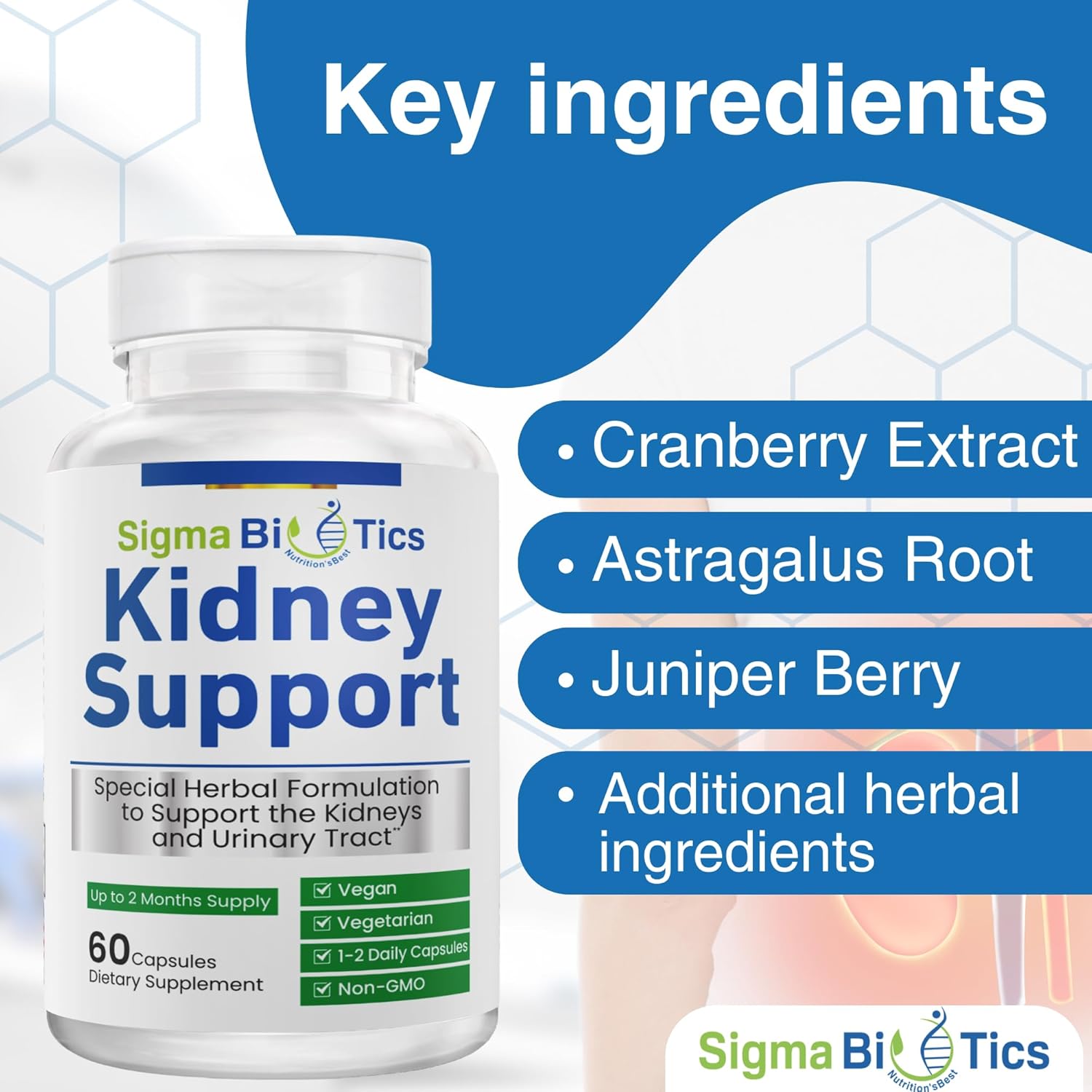 SigmaBiotics Kidney Support Supplement - Herbal Kidney Care for Urinary Health - Vegan Formula with Cranberry, Astragalus, and Juniper Berry - 60 Capsules