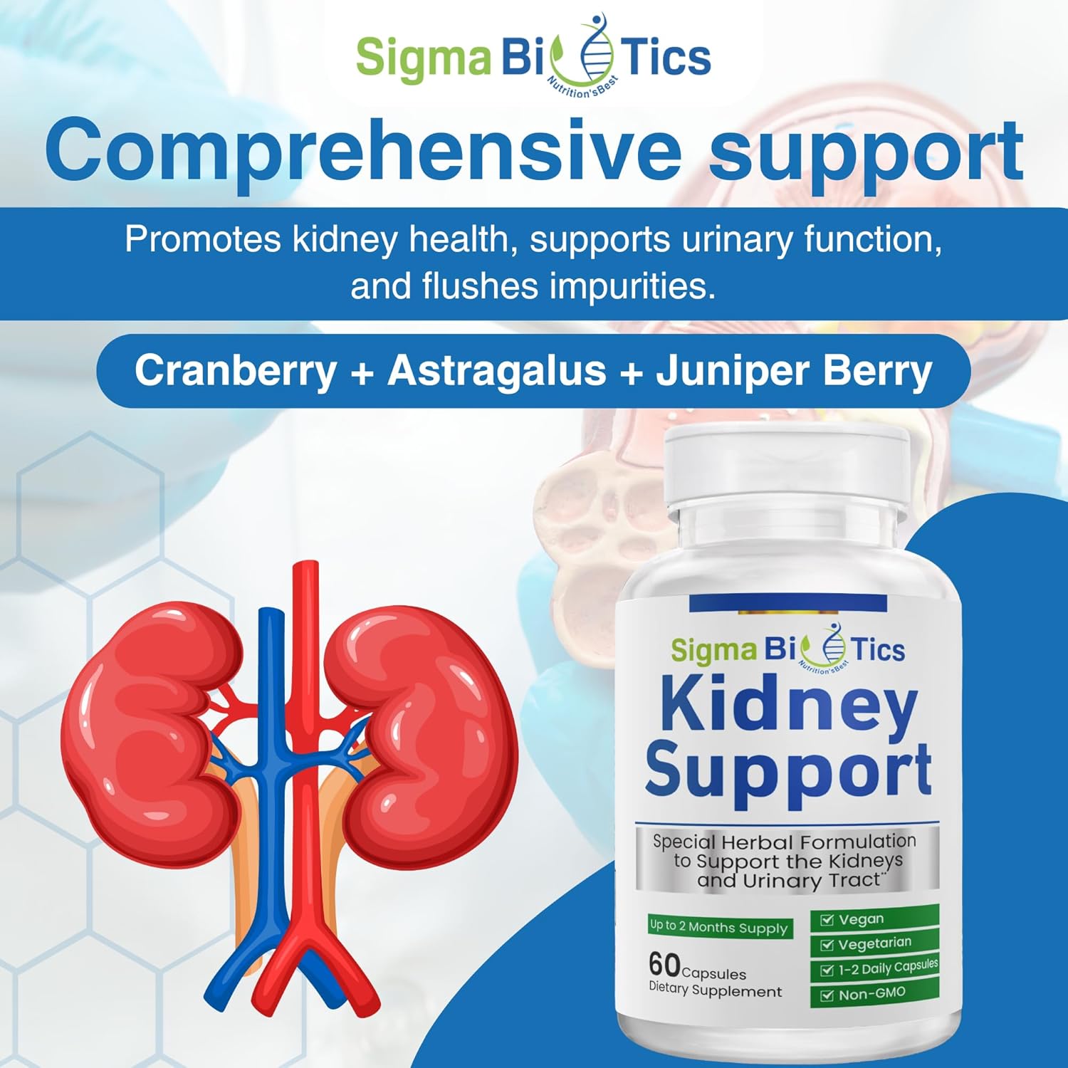 SigmaBiotics Kidney Support Supplement - Herbal Kidney Care for Urinary Health - Vegan Formula with Cranberry, Astragalus, and Juniper Berry - 60 Capsules