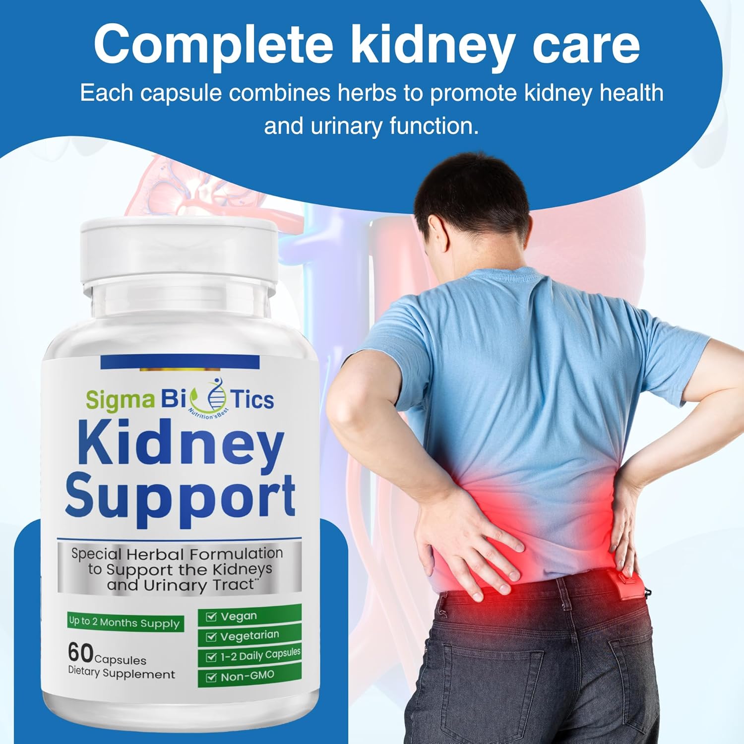 SigmaBiotics Kidney Support Supplement - Herbal Kidney Care for Urinary Health - Vegan Formula with Cranberry, Astragalus, and Juniper Berry - 60 Capsules
