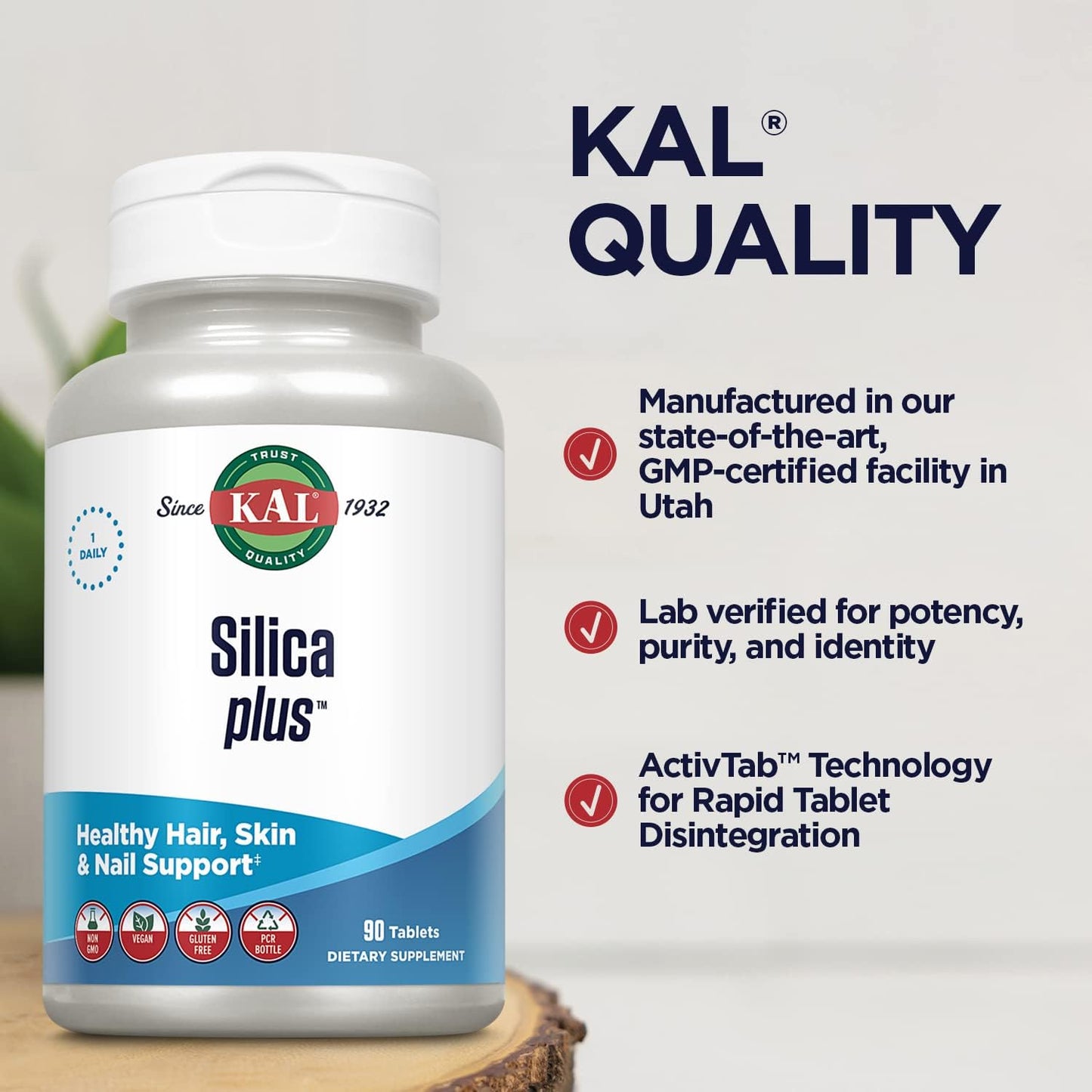 Silica Plus with Horsetail Extract - Vegan Hair, Skin, Nails Support - Gluten Free, Fast Absorption - 90 Tabs
