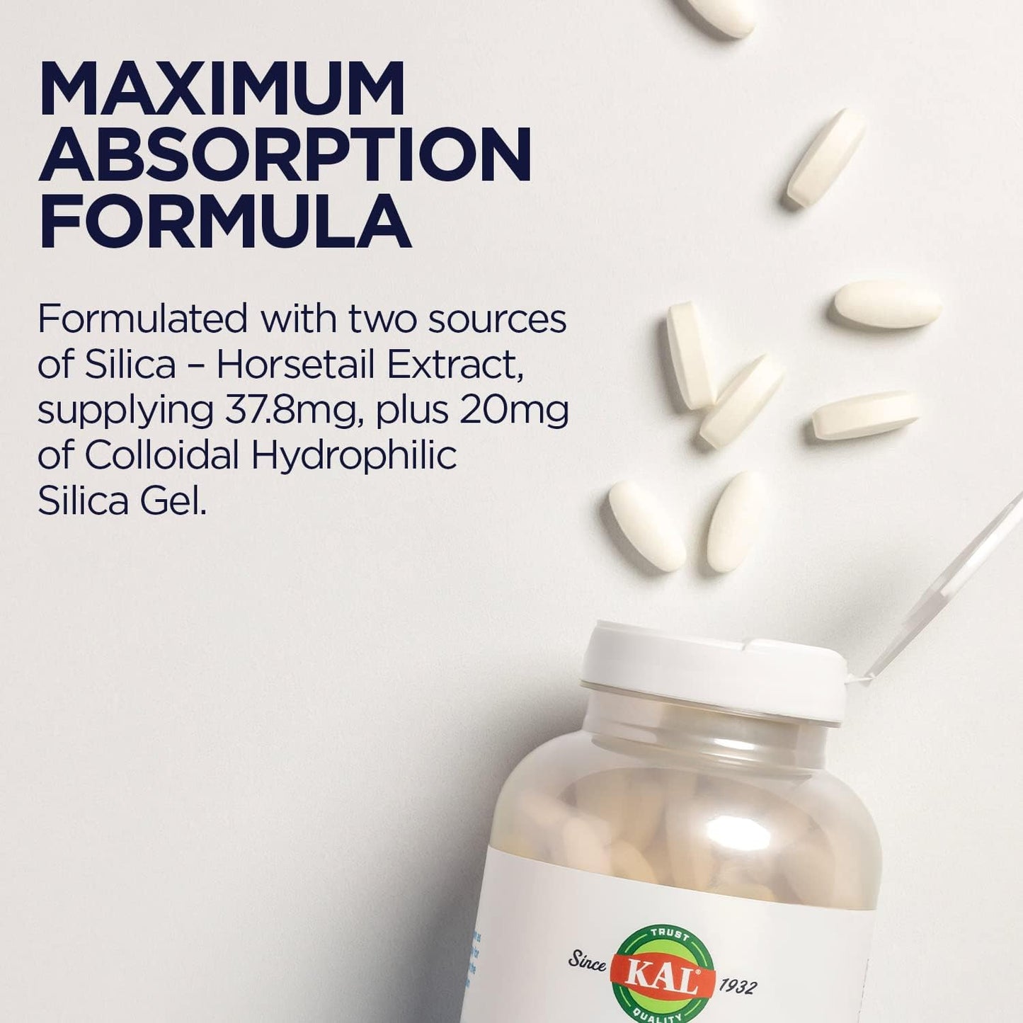 Silica Plus with Horsetail Extract - Vegan Hair, Skin, Nails Support - Gluten Free, Fast Absorption - 90 Tabs
