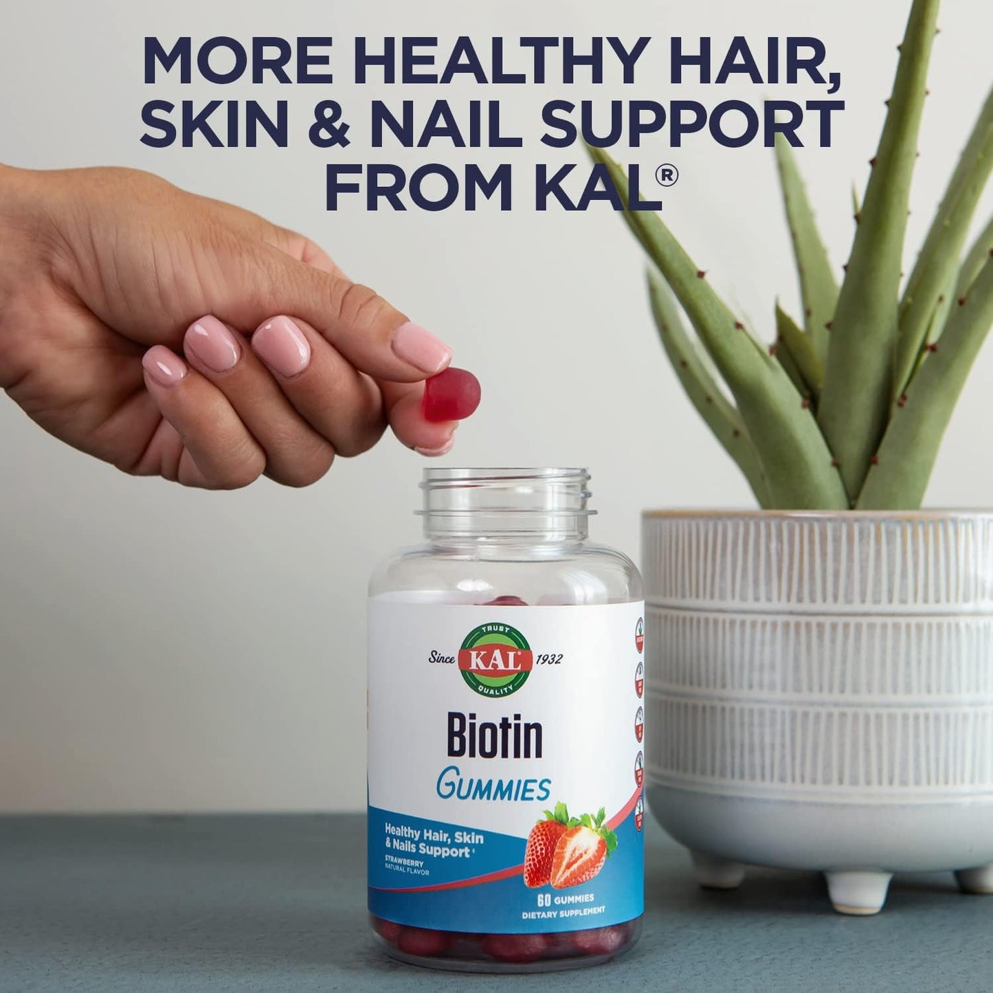 Silica Plus with Horsetail Extract - Vegan Hair, Skin, Nails Support - Gluten Free, Fast Absorption - 90 Tabs