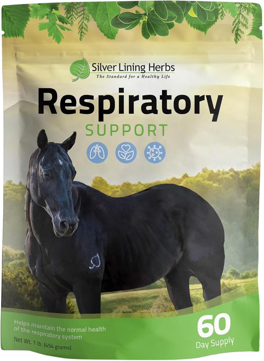 Silver Lining Herbs 22 Respiratory Support for Horses - Promotes Lung Health, Clear Airways, and Combatting Pollutants - 1 lb Bag