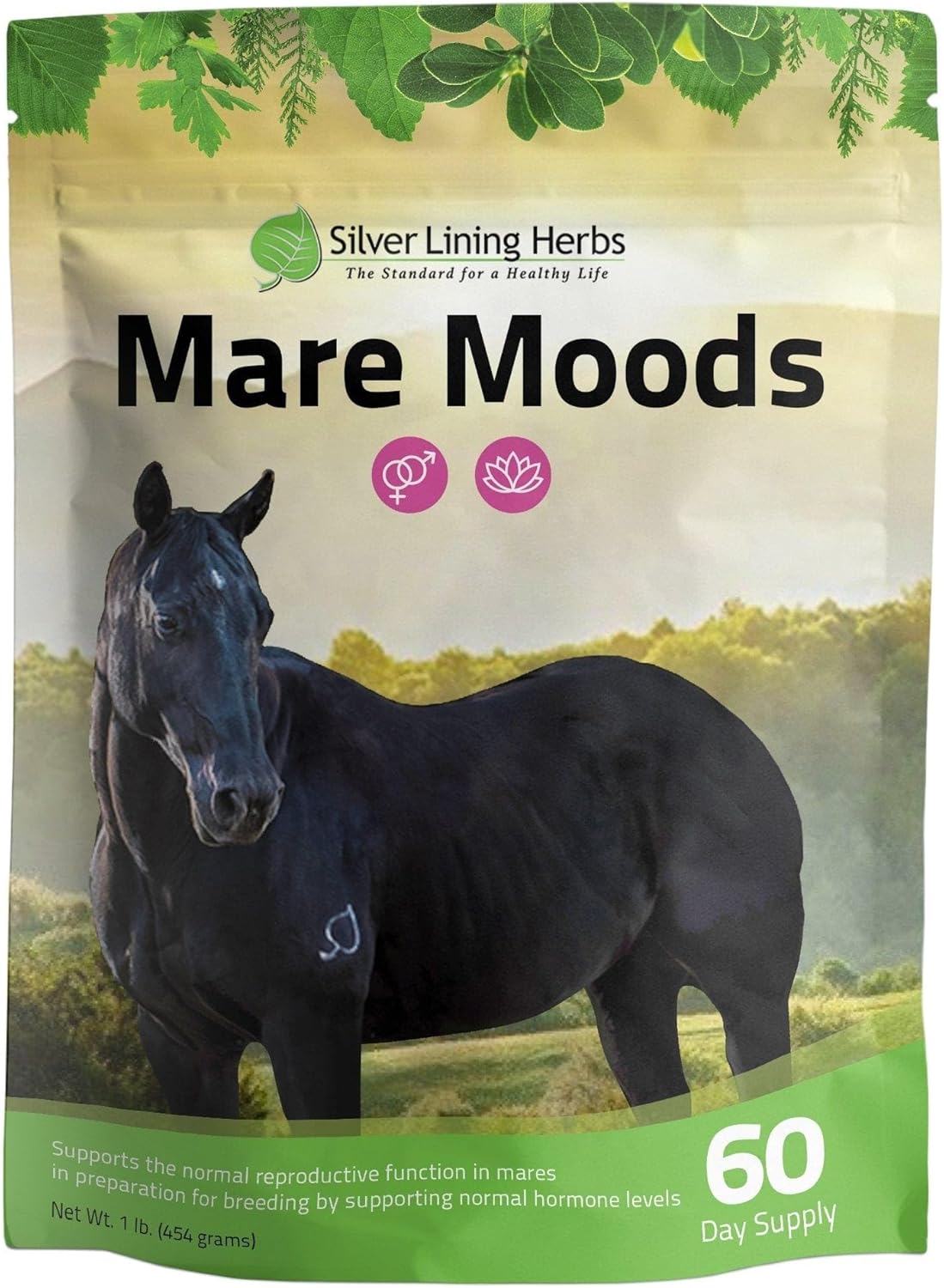 Silver Lining Herbs MARE Moods 1LB - Natural Herbal Supplement for Balanced Mare Hormones